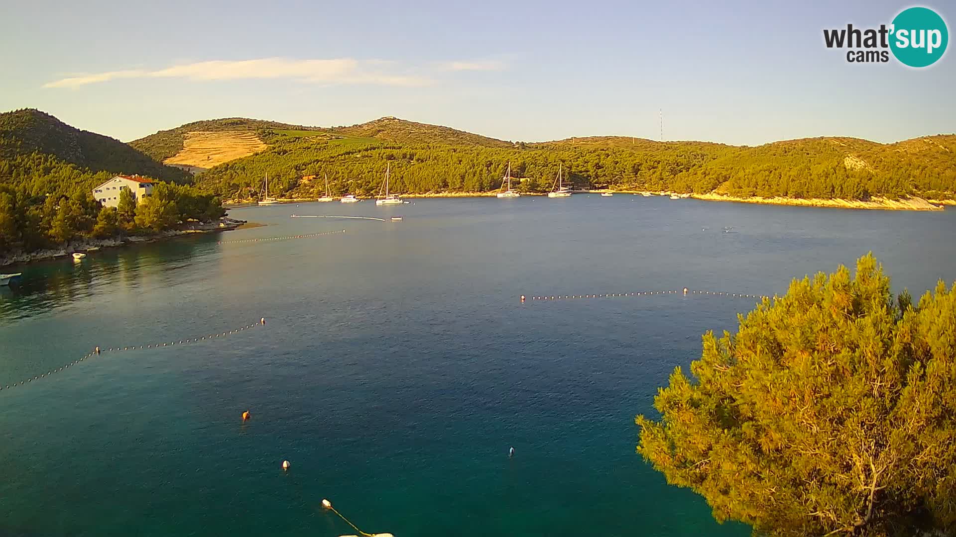 Live cam Hvar Vira plage | Île de Hvar | Dalmatie