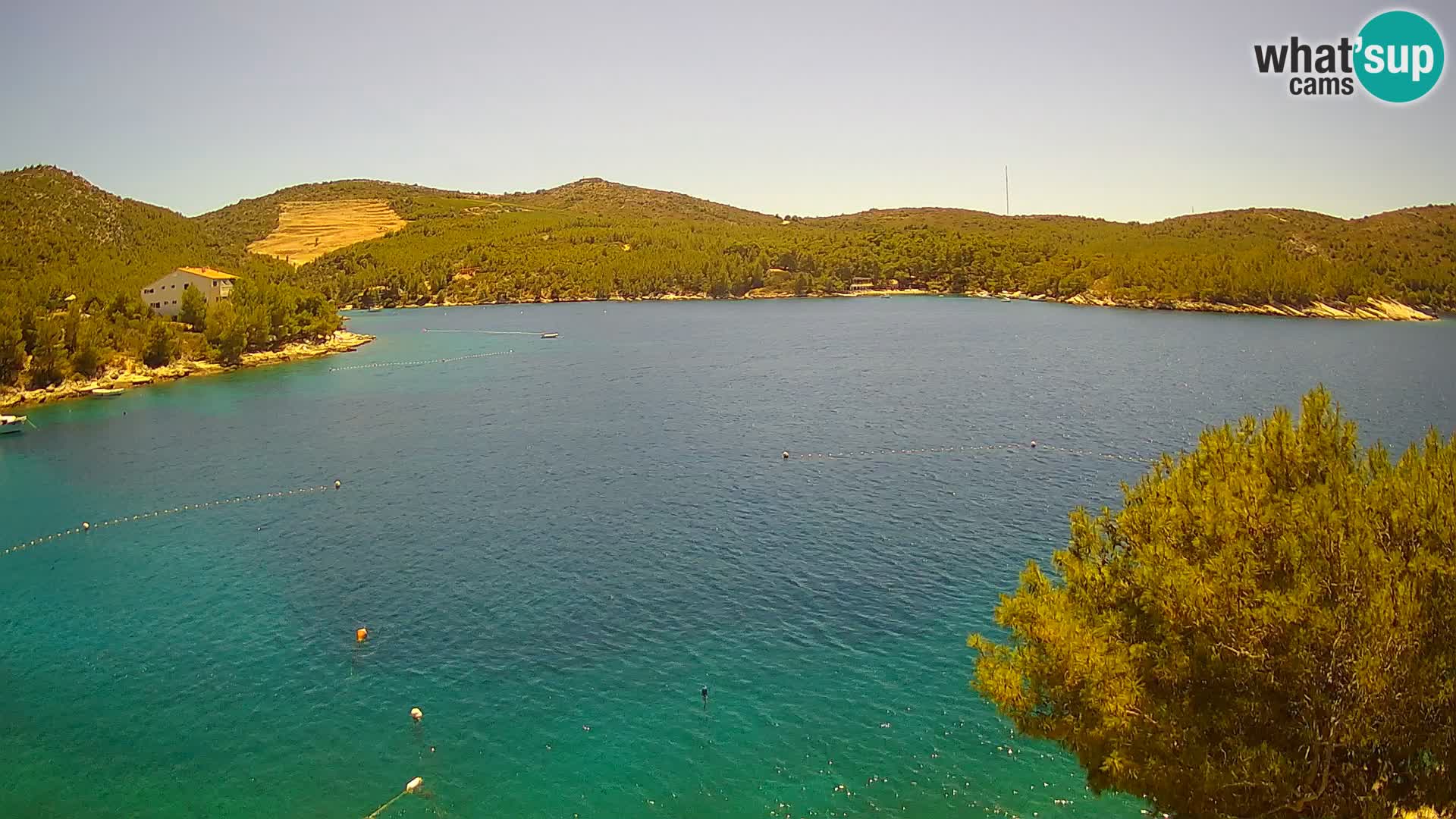 Hvar webcam Vira Strand | Hvar Insel | Dalmatien