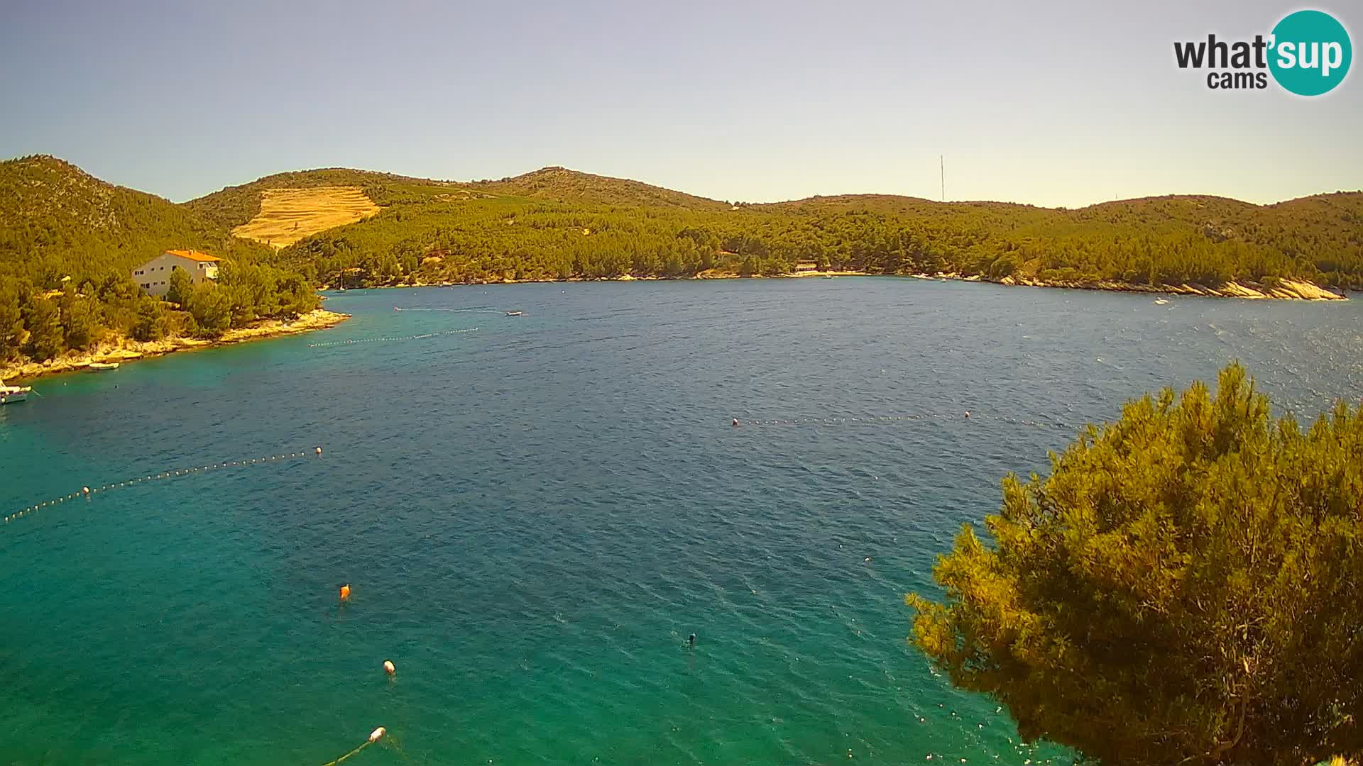 Camera Hvar Vira playa | Isla de Hvar | Dalmacia