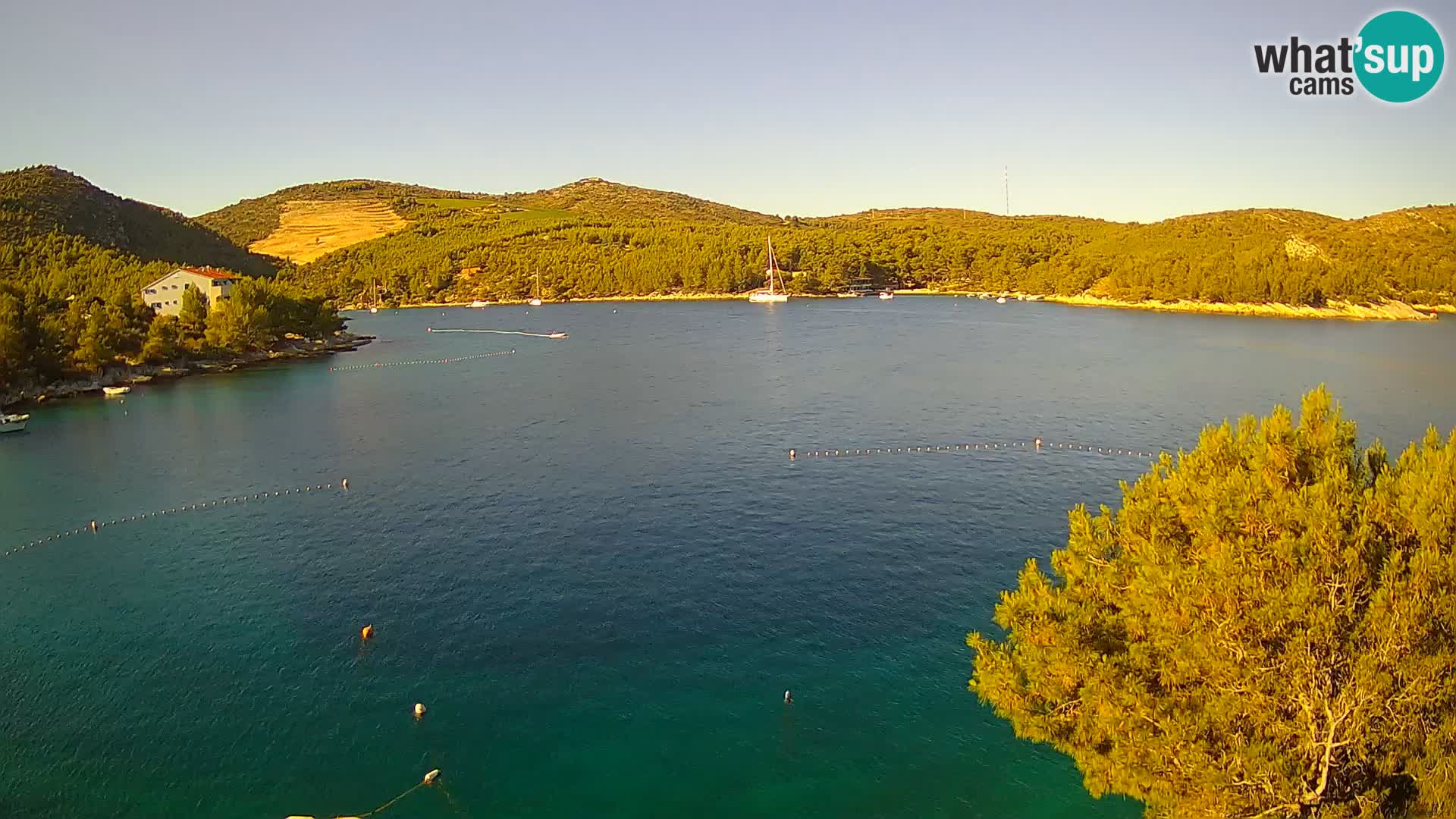 Camera Hvar Vira playa | Isla de Hvar | Dalmacia