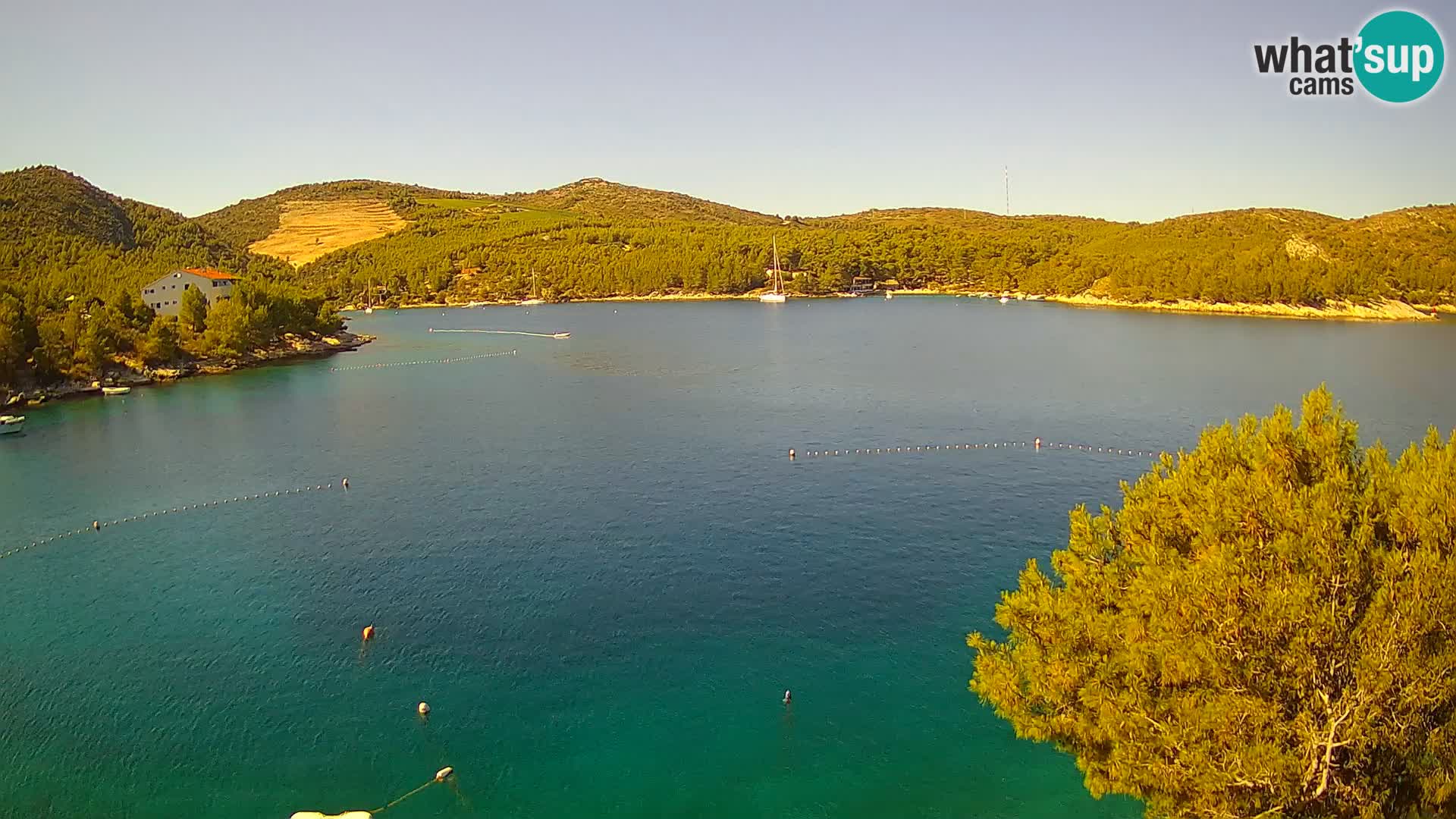 Camera Hvar Vira playa | Isla de Hvar | Dalmacia