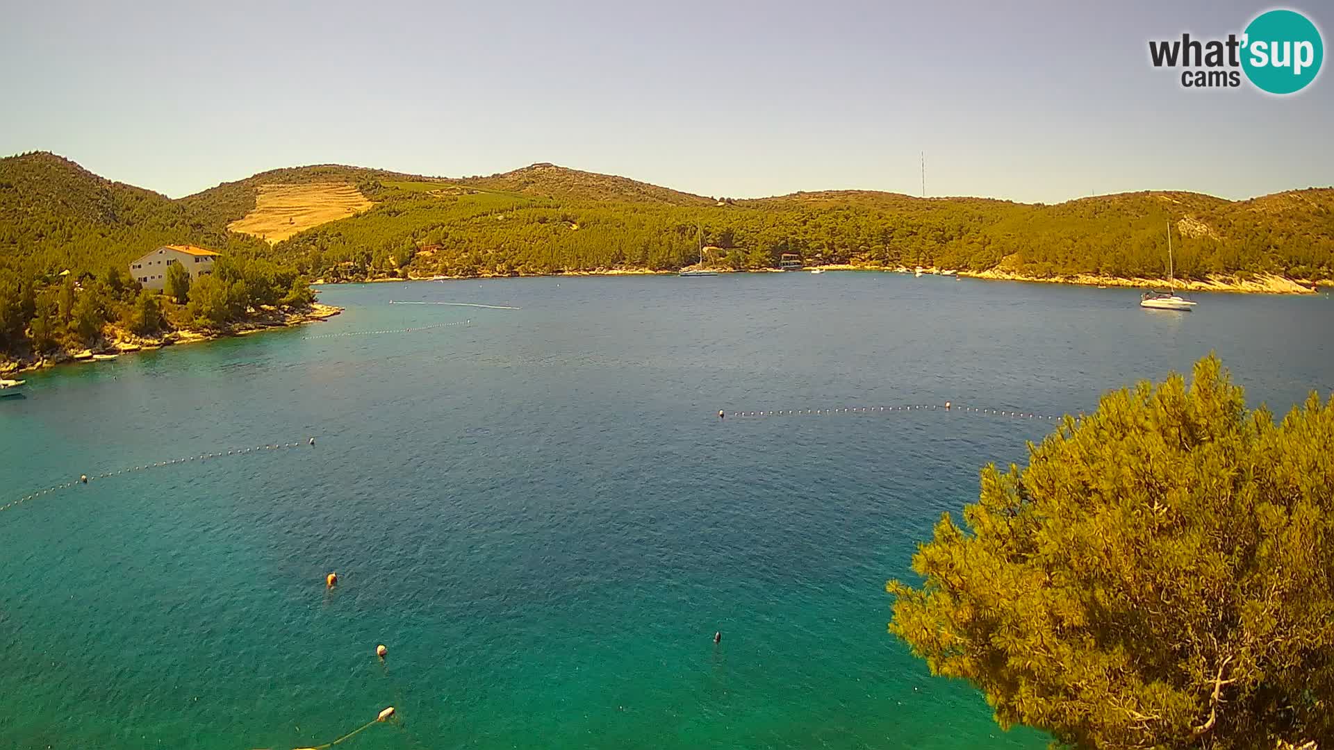 Camera Hvar Vira playa | Isla de Hvar | Dalmacia