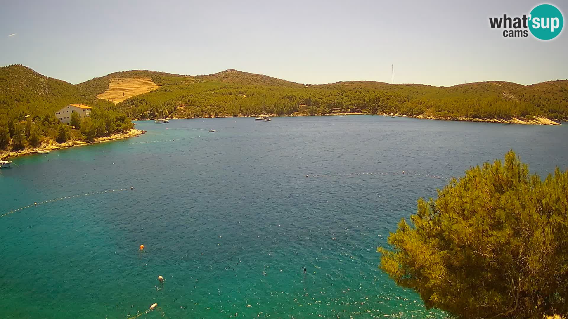 Web kamera Hvar Vira plaža | otok Hvar | Dalmacija