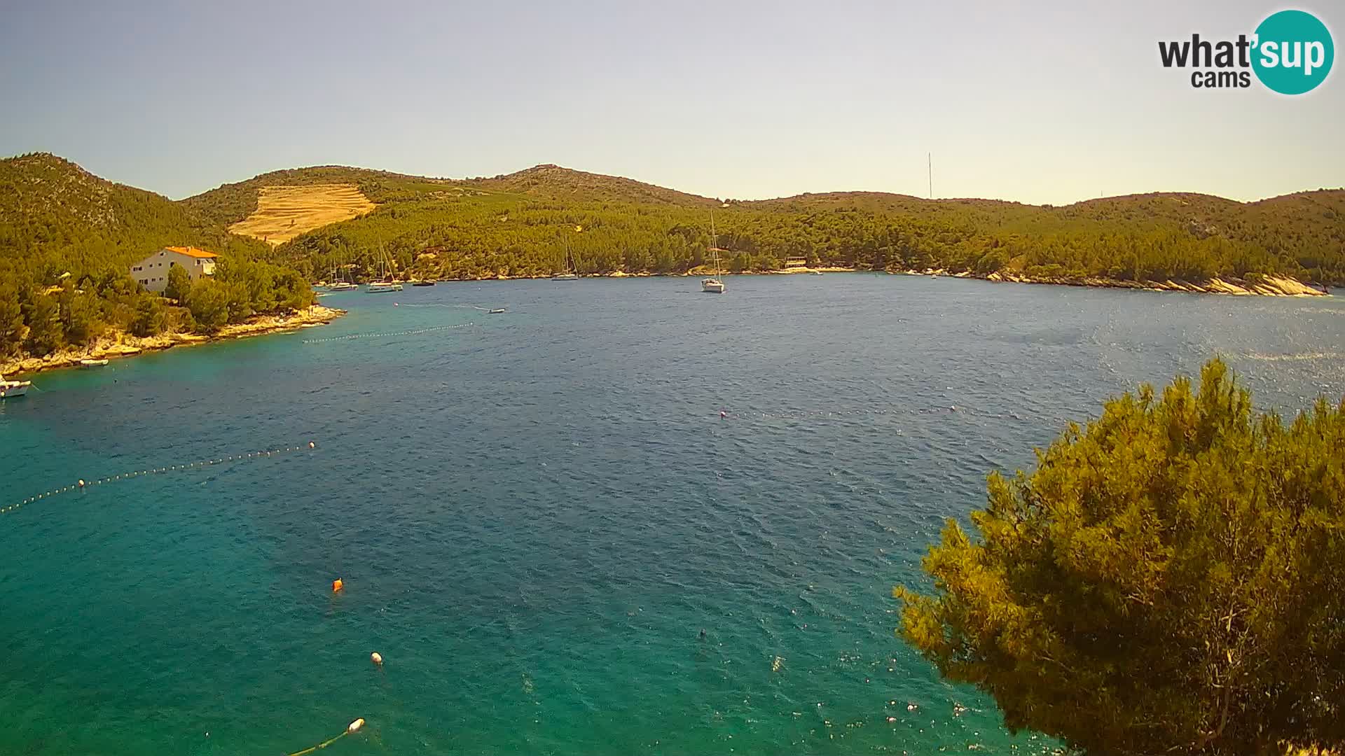 Live cam Hvar Vira plage | Île de Hvar | Dalmatie