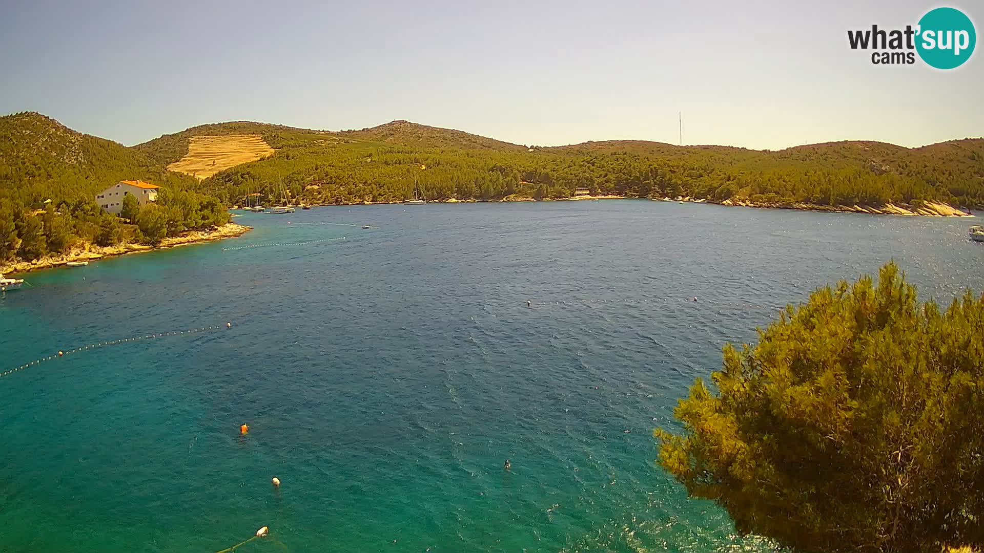 Web kamera Hvar Vira plaža | otok Hvar | Dalmacija