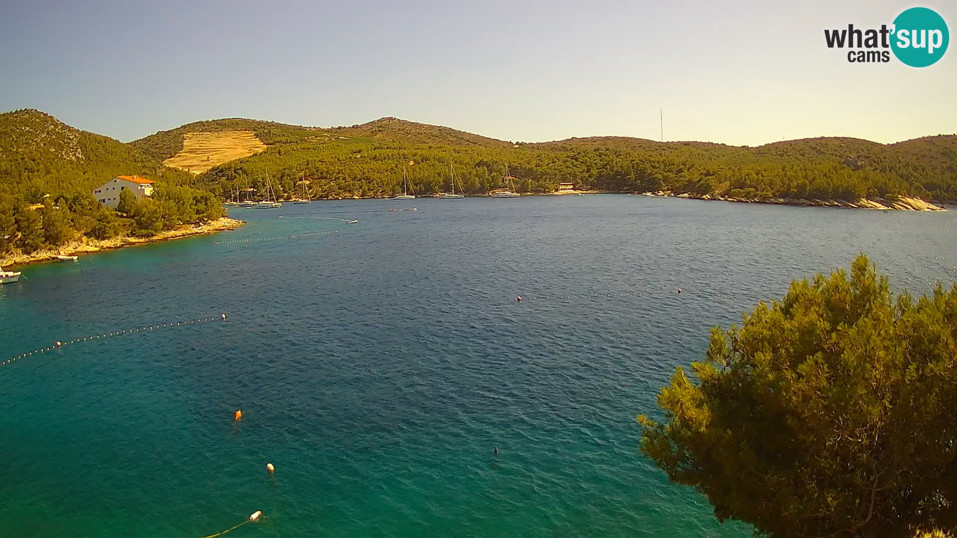 Hvar webcam Vira Strand | Hvar Insel | Dalmatien