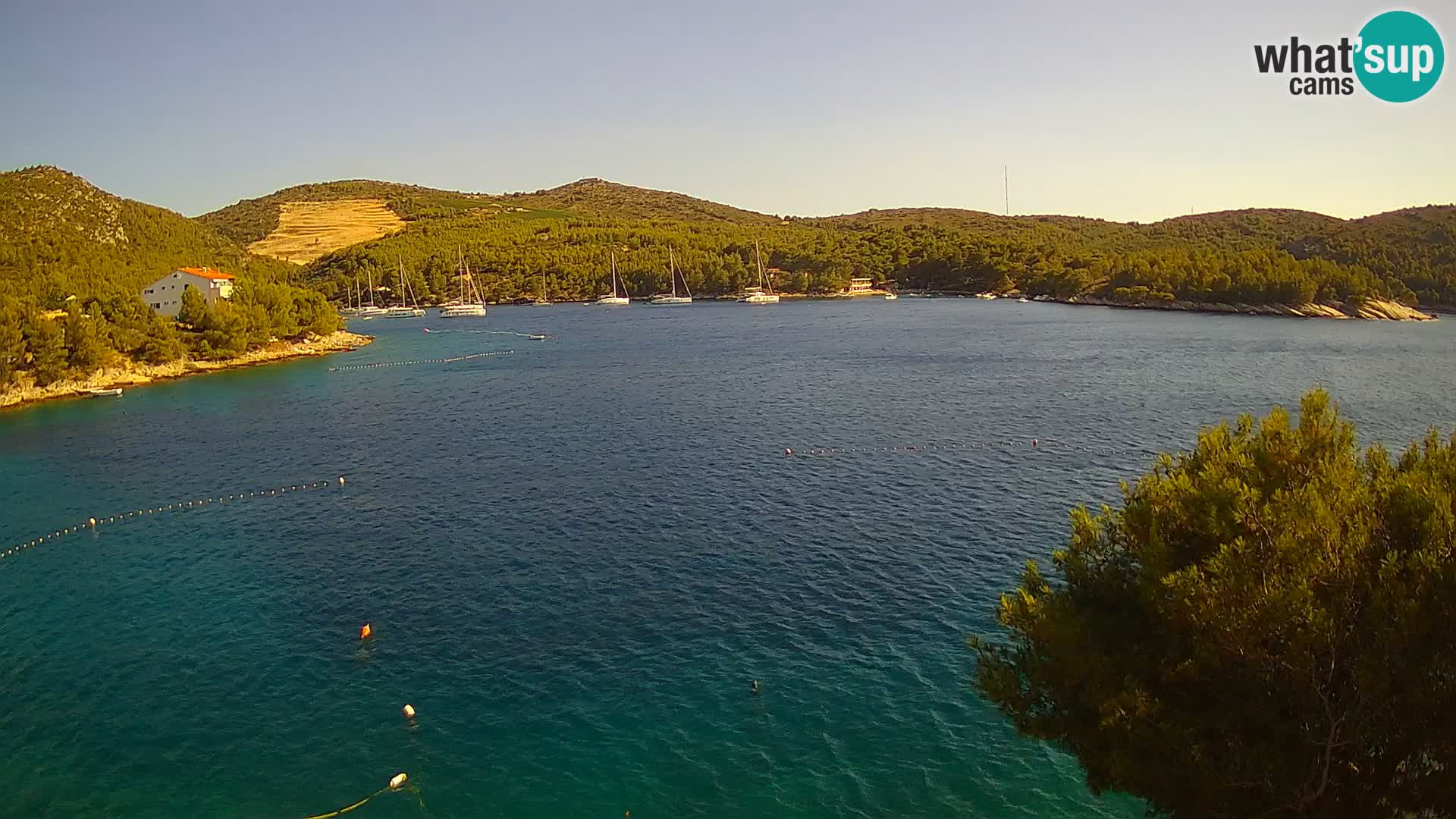 Live cam Hvar Vira plage | Île de Hvar | Dalmatie
