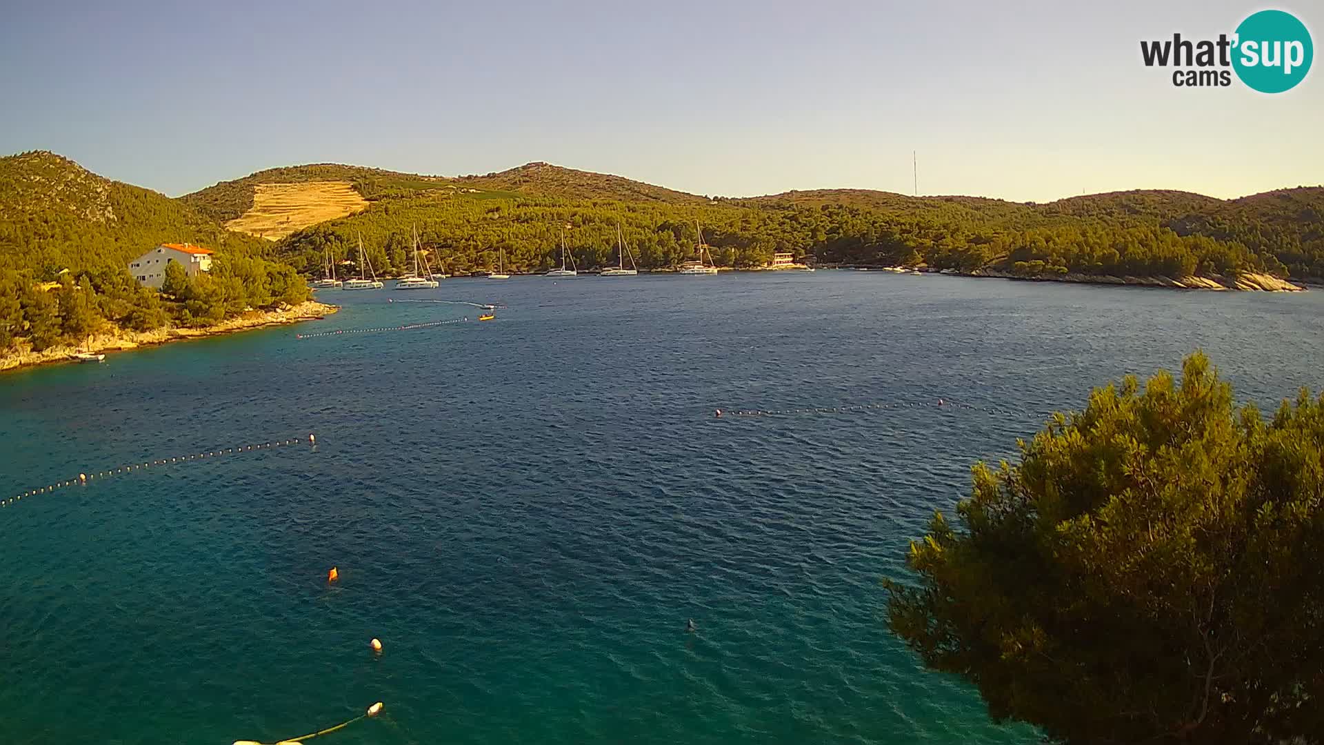 Hvar webcam Vira Strand | Hvar Insel | Dalmatien