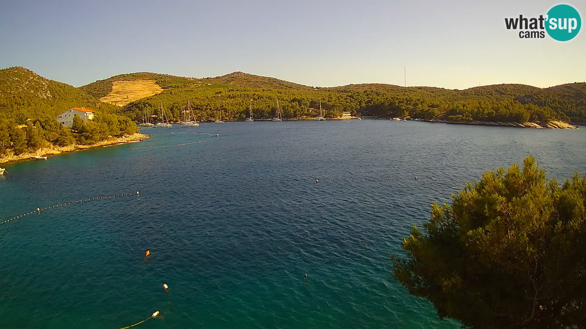 Hvar webcam Vira Strand | Hvar Insel | Dalmatien