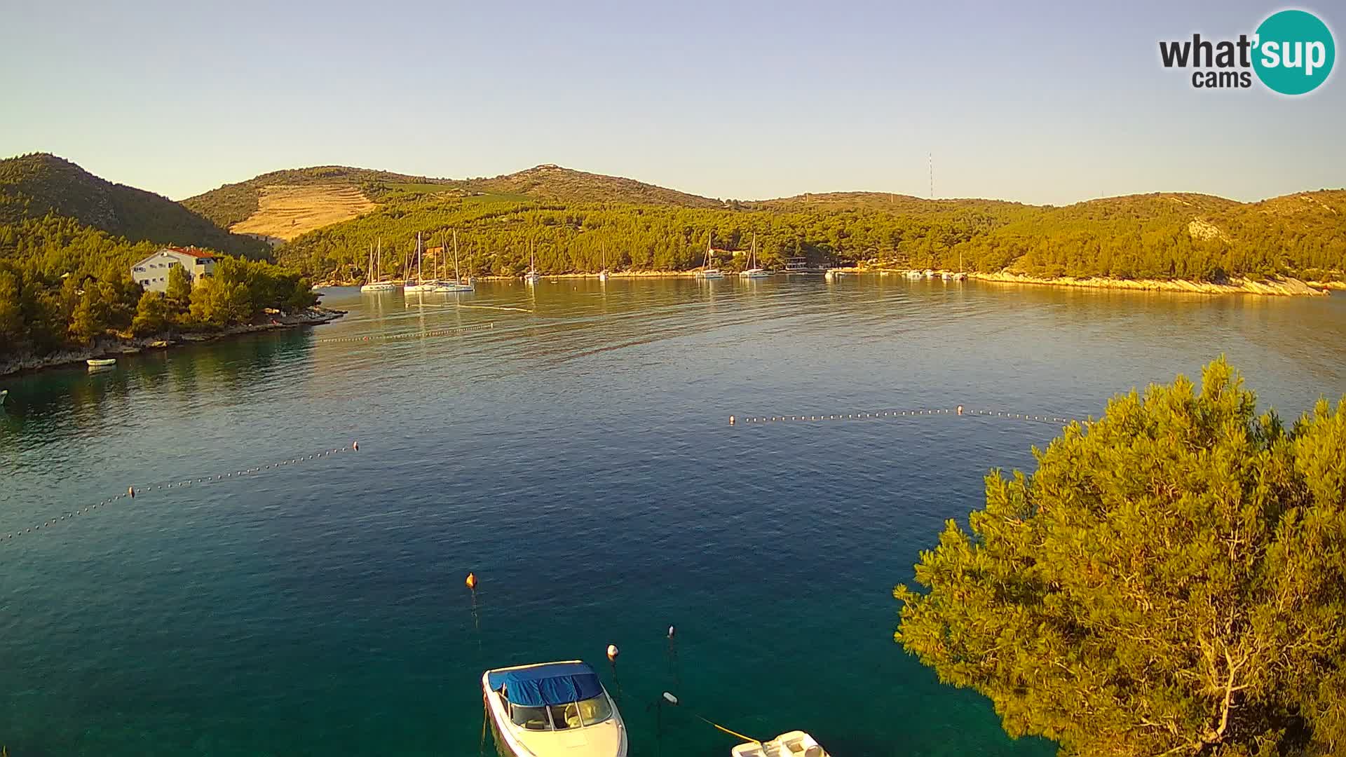 Camera Hvar Vira playa | Isla de Hvar | Dalmacia