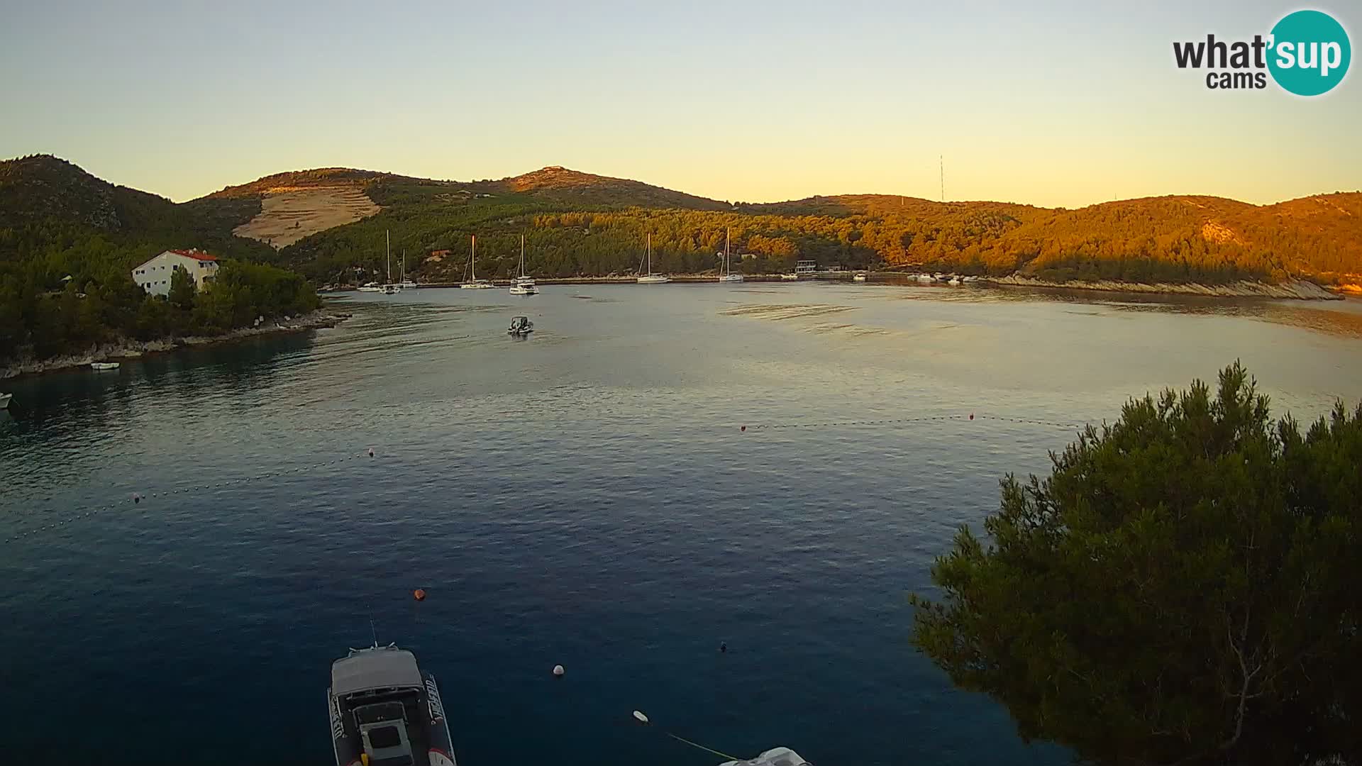 Camera Hvar Vira playa | Isla de Hvar | Dalmacia
