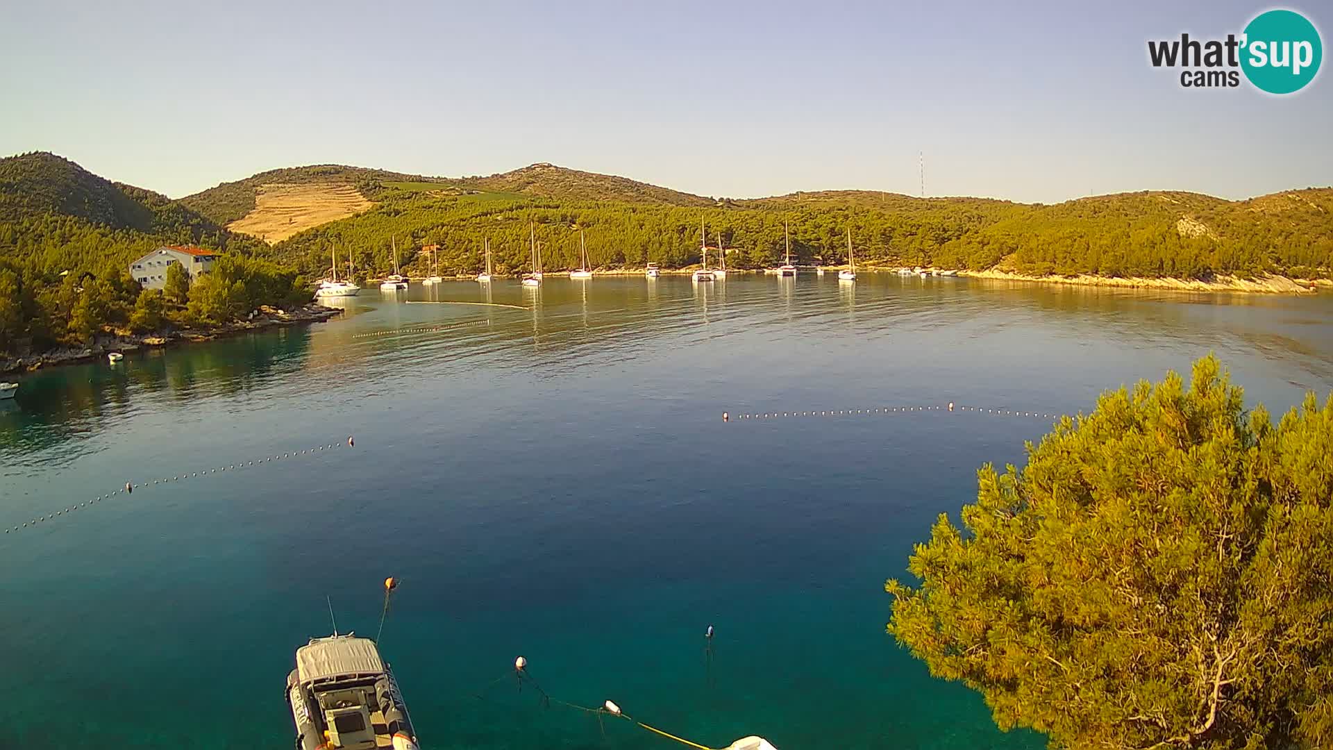 Camera Hvar Vira playa | Isla de Hvar | Dalmacia