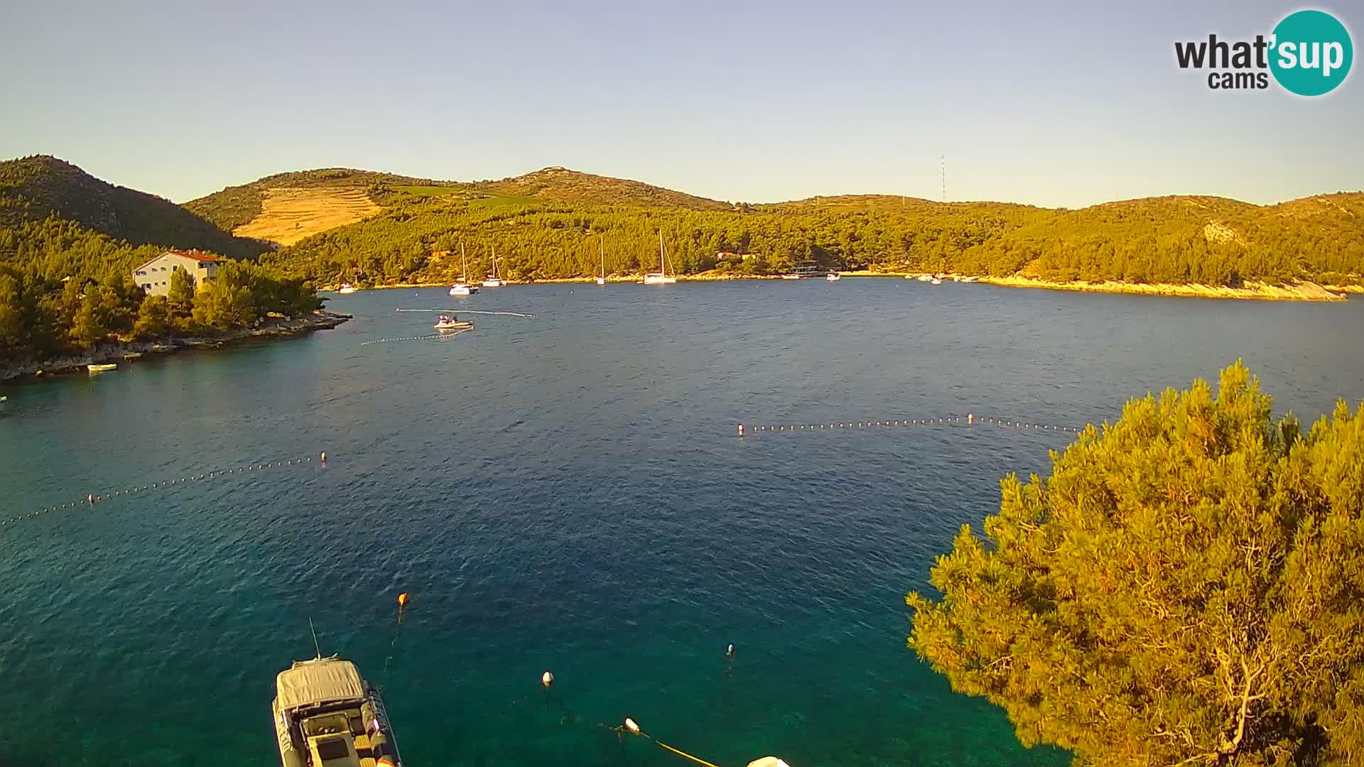 Camera Hvar Vira playa | Isla de Hvar | Dalmacia