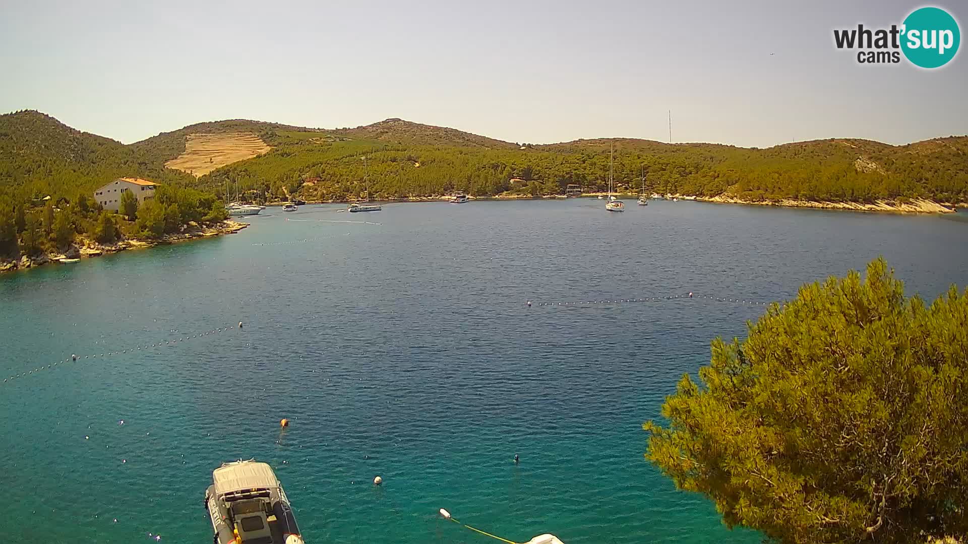 Camera Hvar Vira playa | Isla de Hvar | Dalmacia