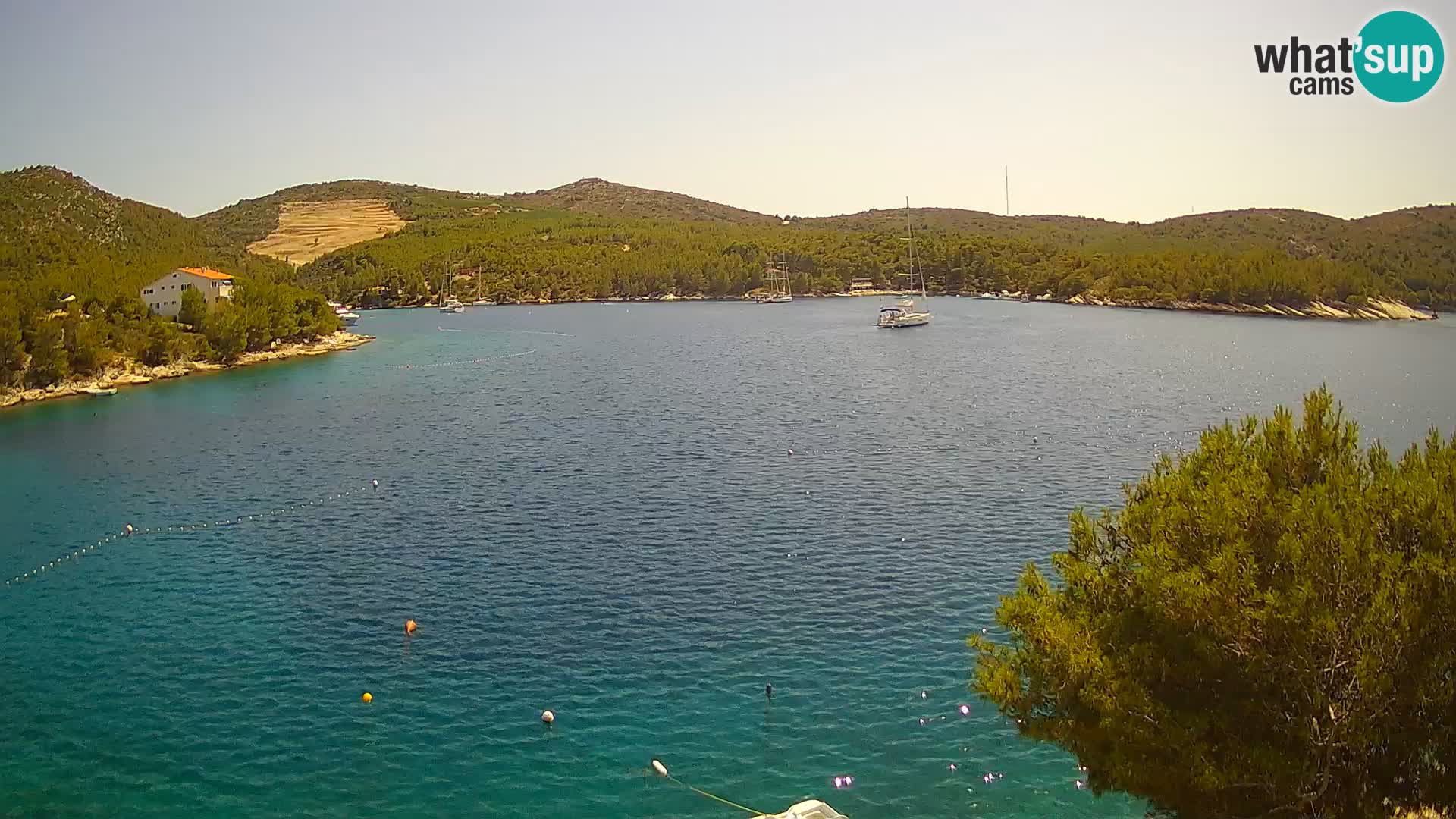 Hvar webcam Vira Strand | Hvar Insel | Dalmatien