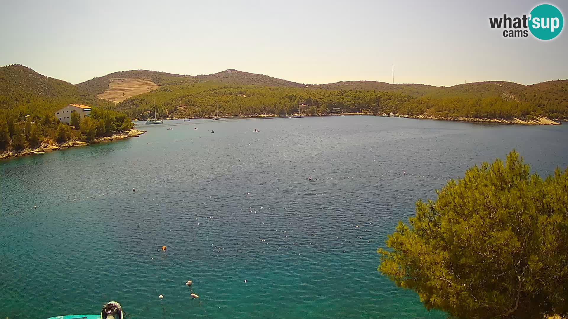 Camera Hvar Vira playa | Isla de Hvar | Dalmacia