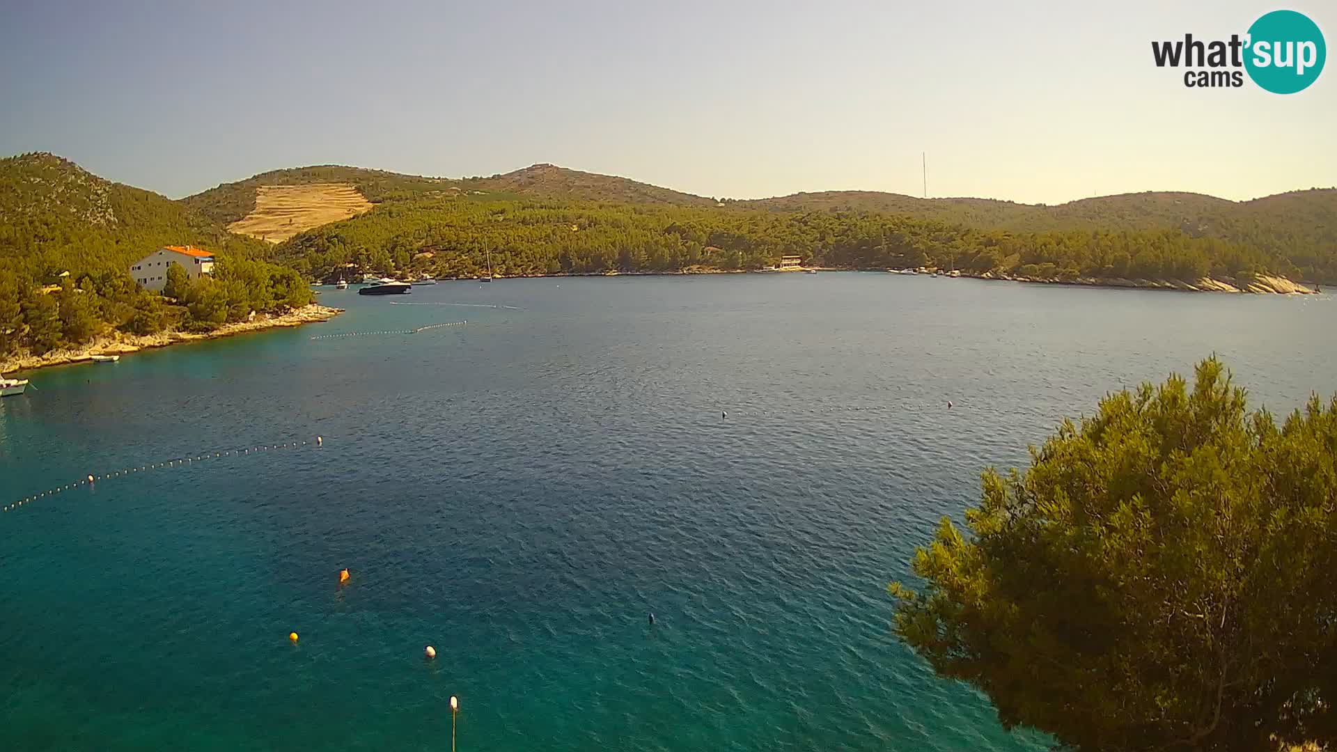 Live cam Hvar Vira plage | Île de Hvar | Dalmatie