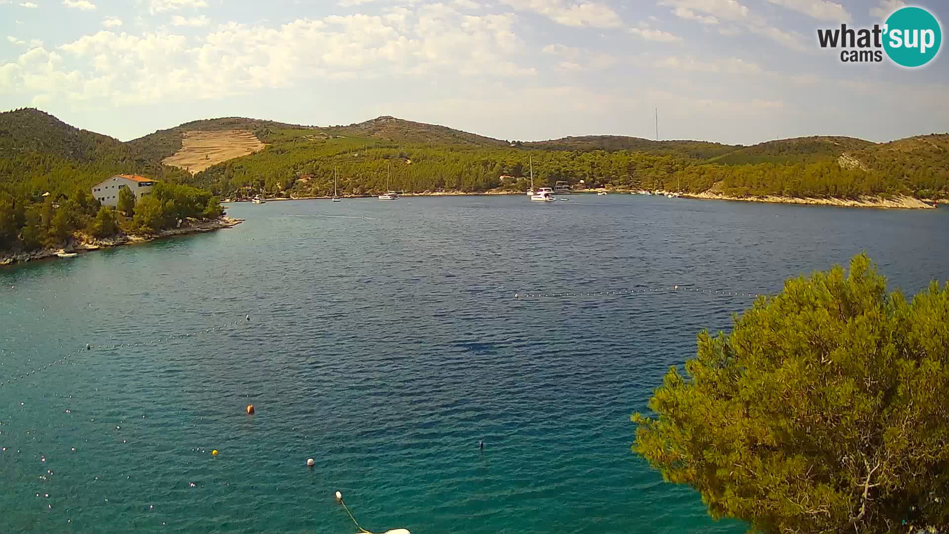 Live cam Hvar Vira plage | Île de Hvar | Dalmatie
