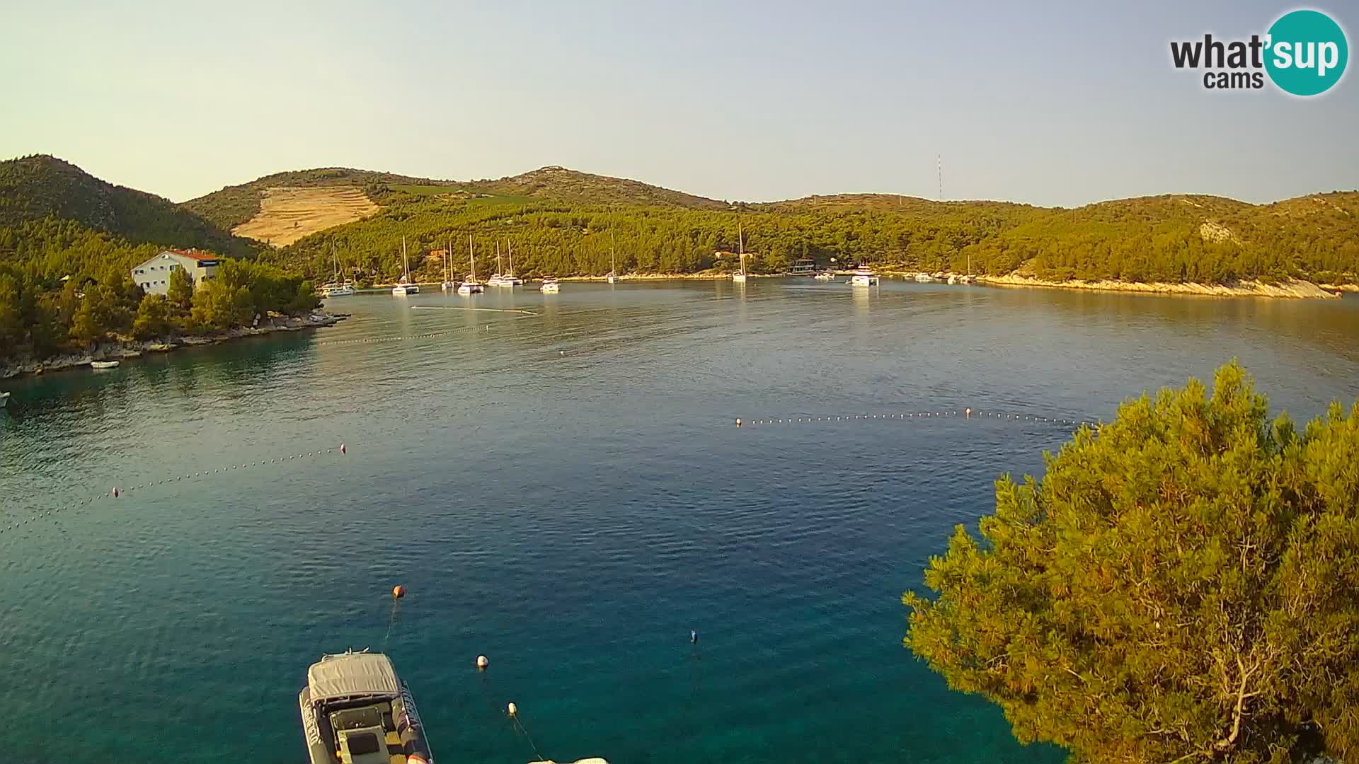 Hvar webcam Vira Strand | Hvar Insel | Dalmatien
