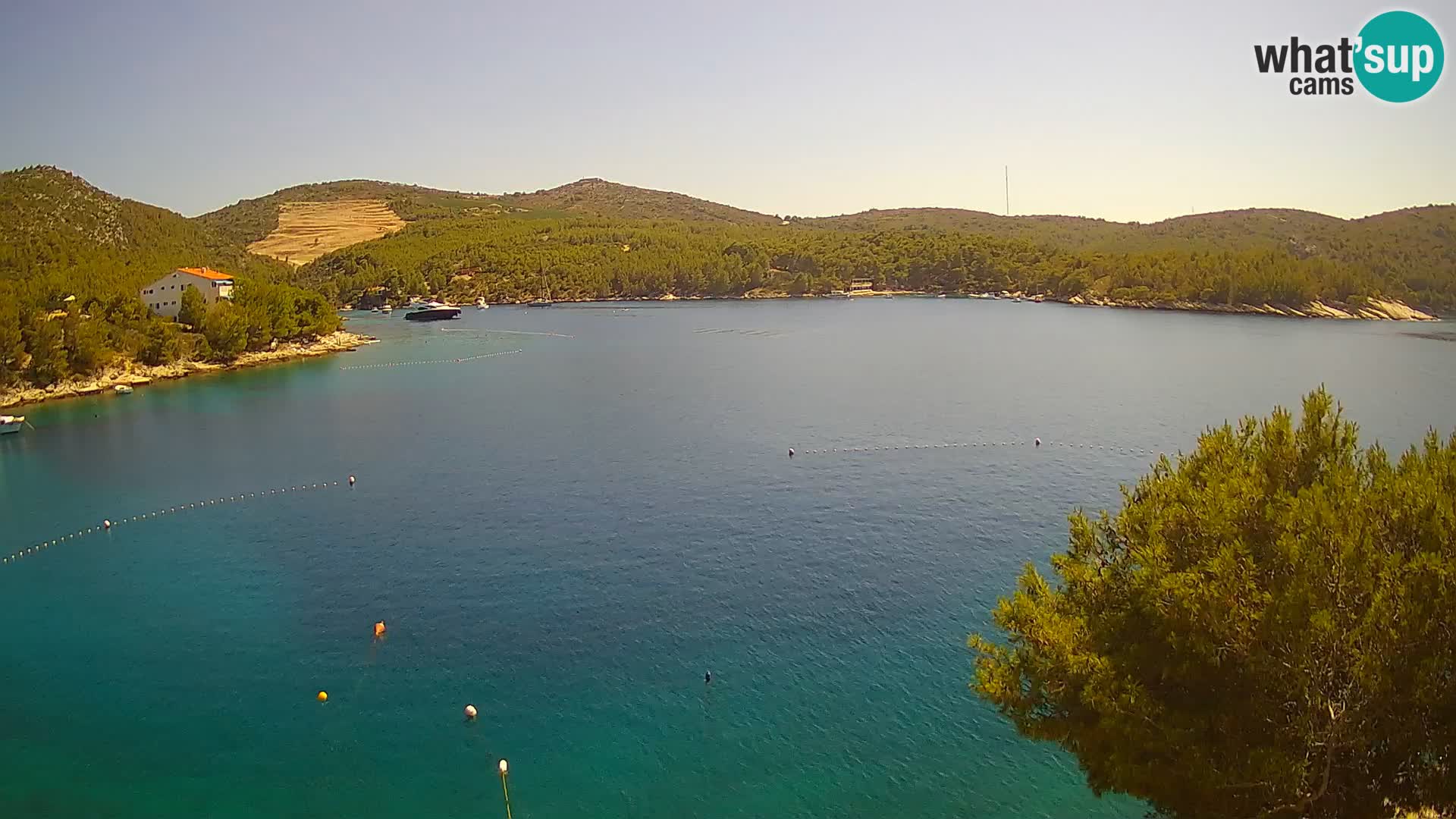 Live cam Hvar Vira plage | Île de Hvar | Dalmatie