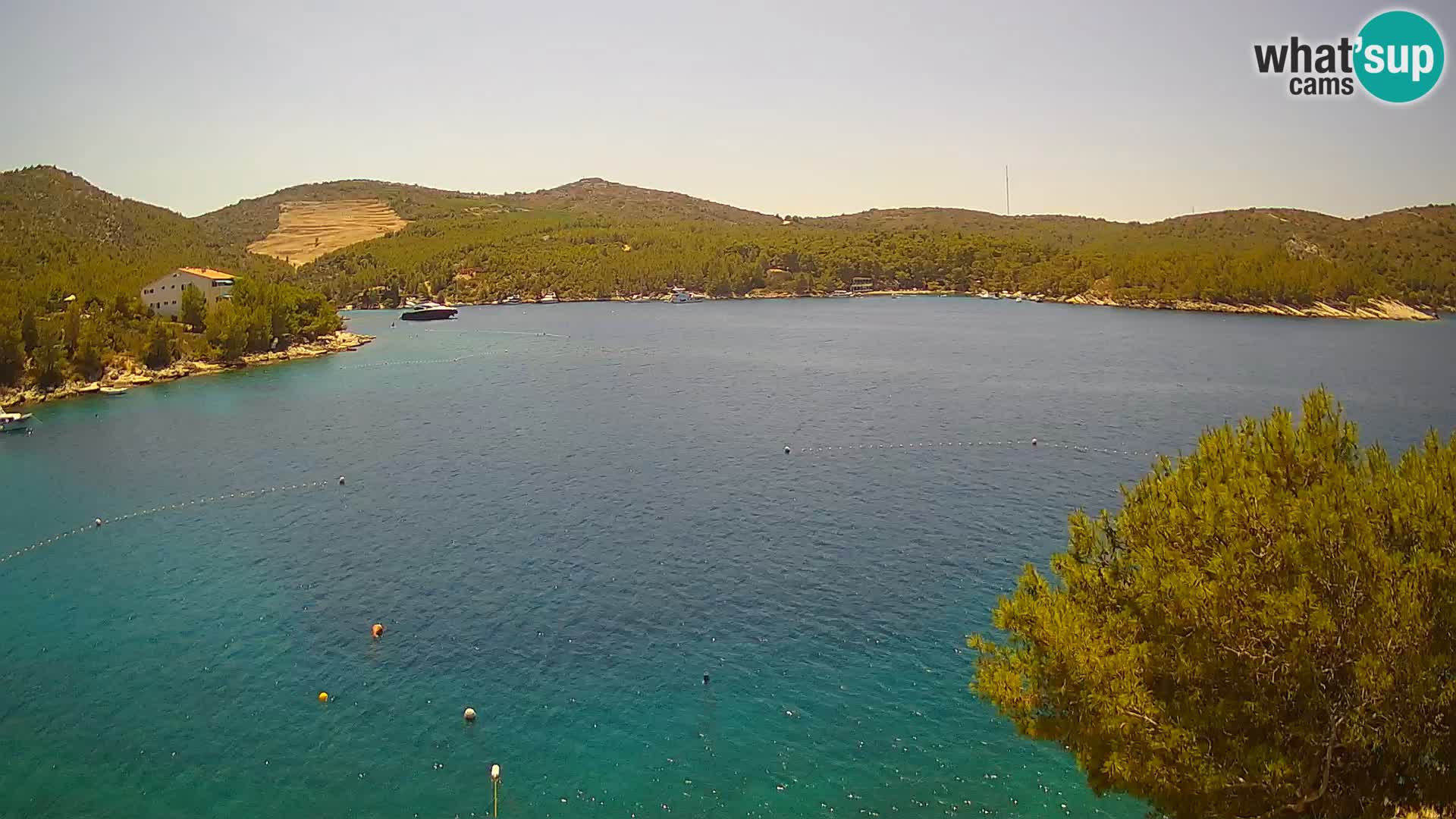 Camera Hvar Vira playa | Isla de Hvar | Dalmacia