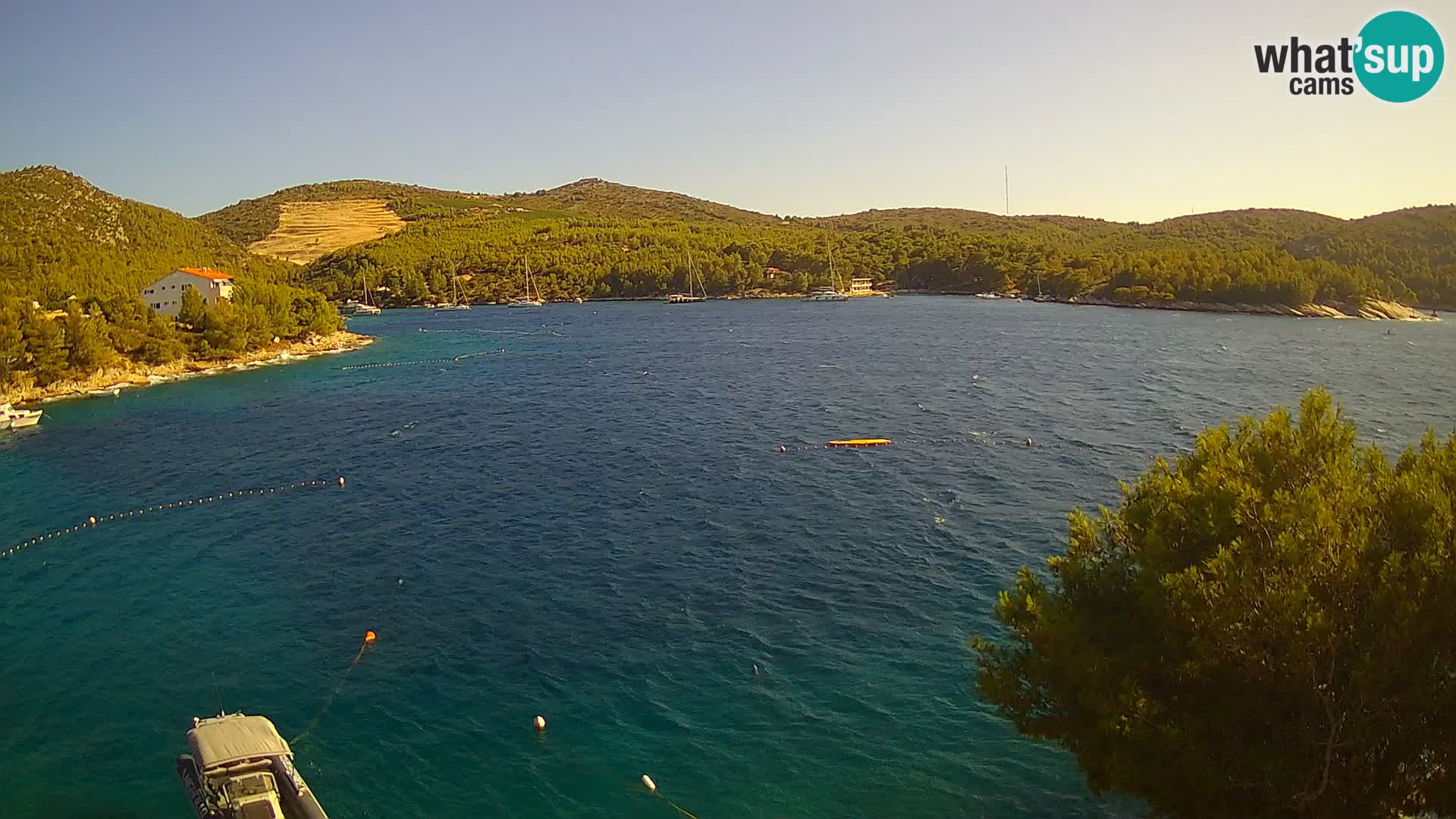 Camera Hvar Vira playa | Isla de Hvar | Dalmacia