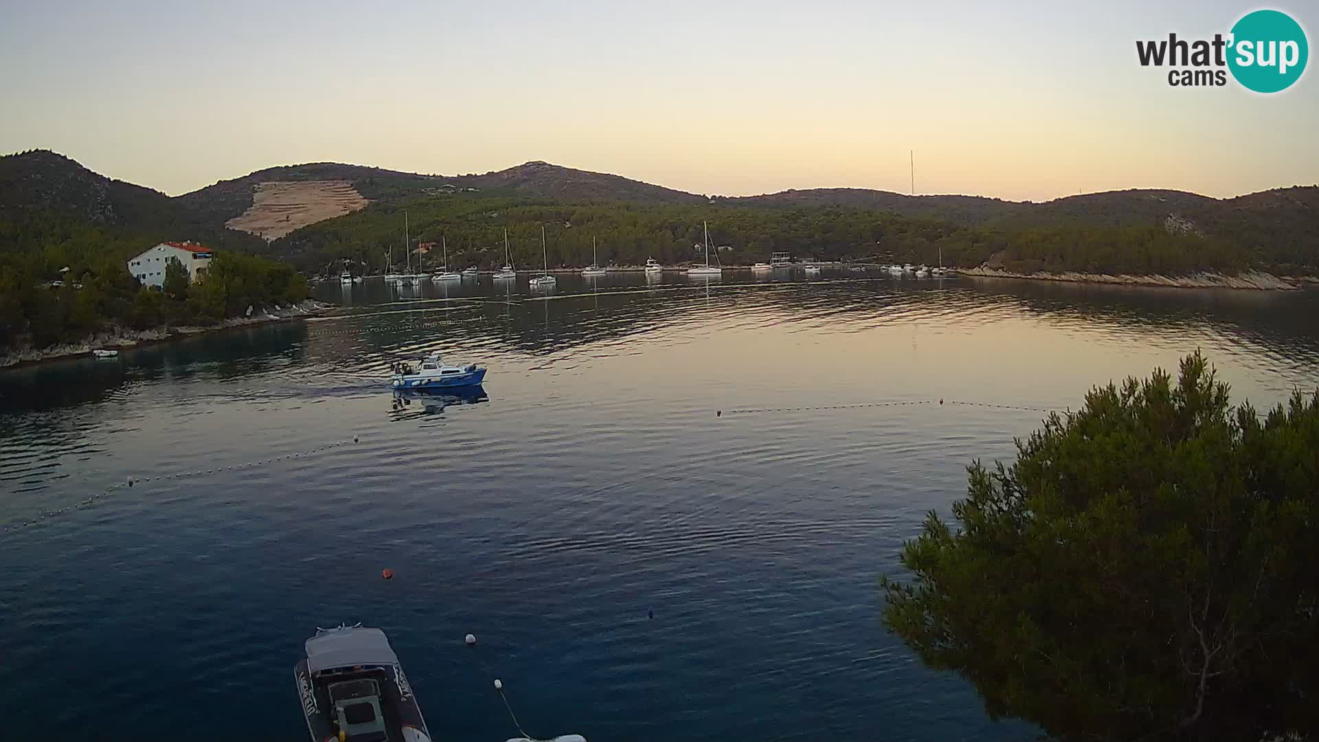 Live cam Hvar Vira plage | Île de Hvar | Dalmatie