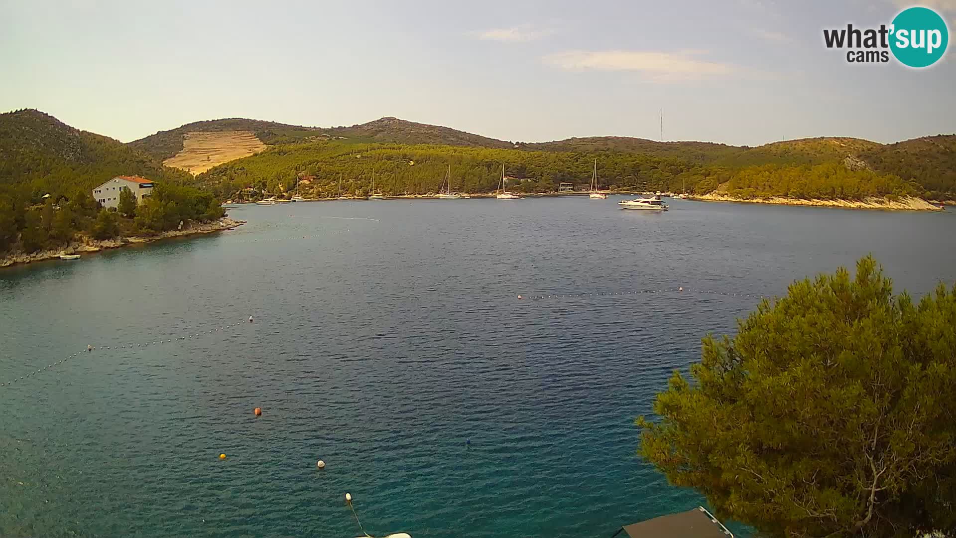 Live cam Hvar Vira plage | Île de Hvar | Dalmatie