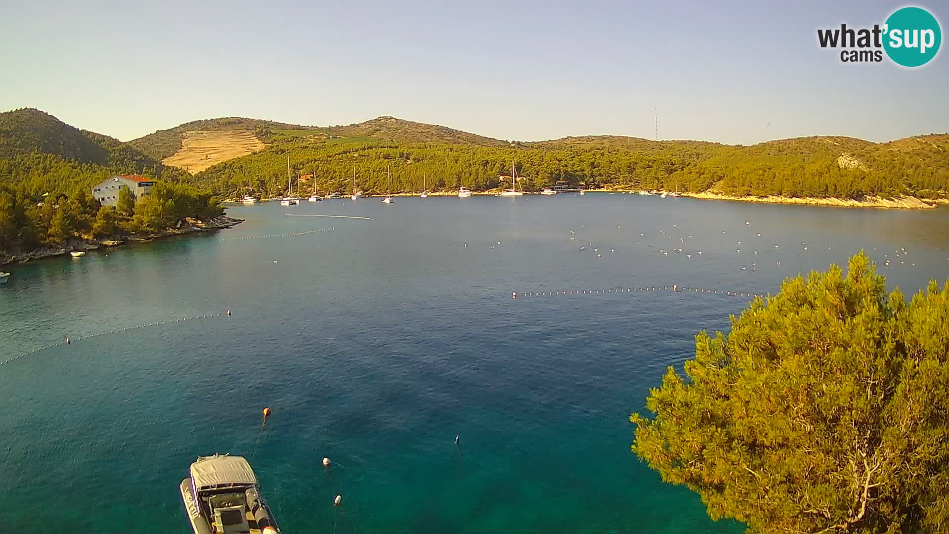 Live cam Hvar Vira plage | Île de Hvar | Dalmatie