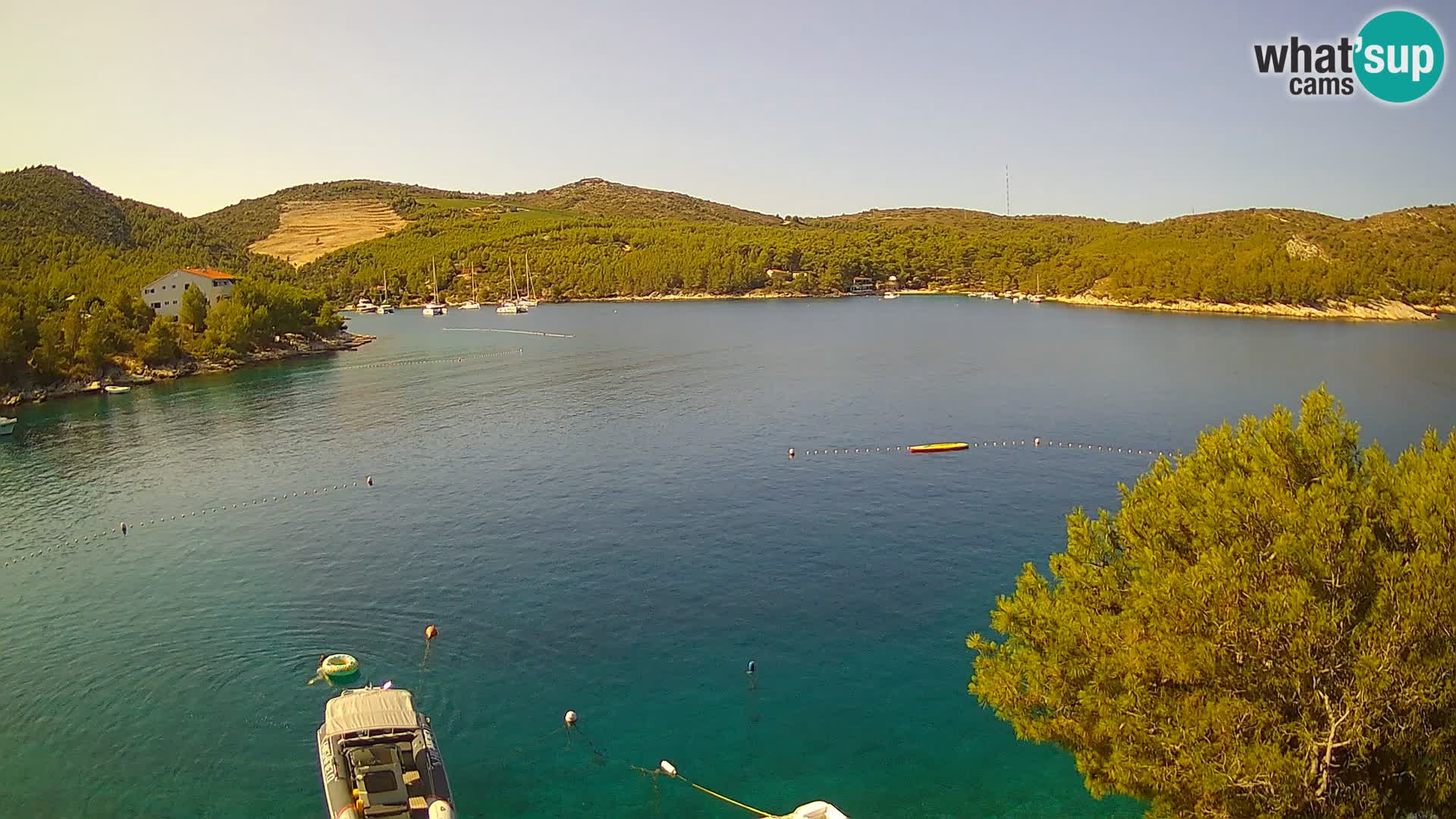 Camera Hvar Vira playa | Isla de Hvar | Dalmacia