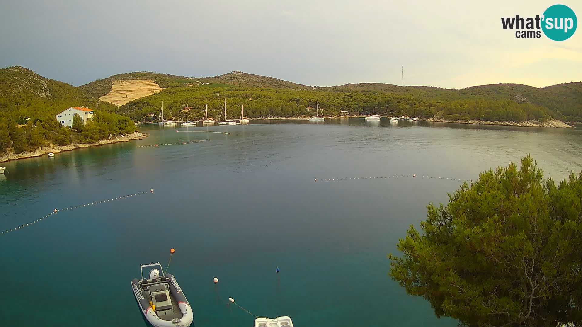 Hvar webcam Vira Strand | Hvar Insel | Dalmatien
