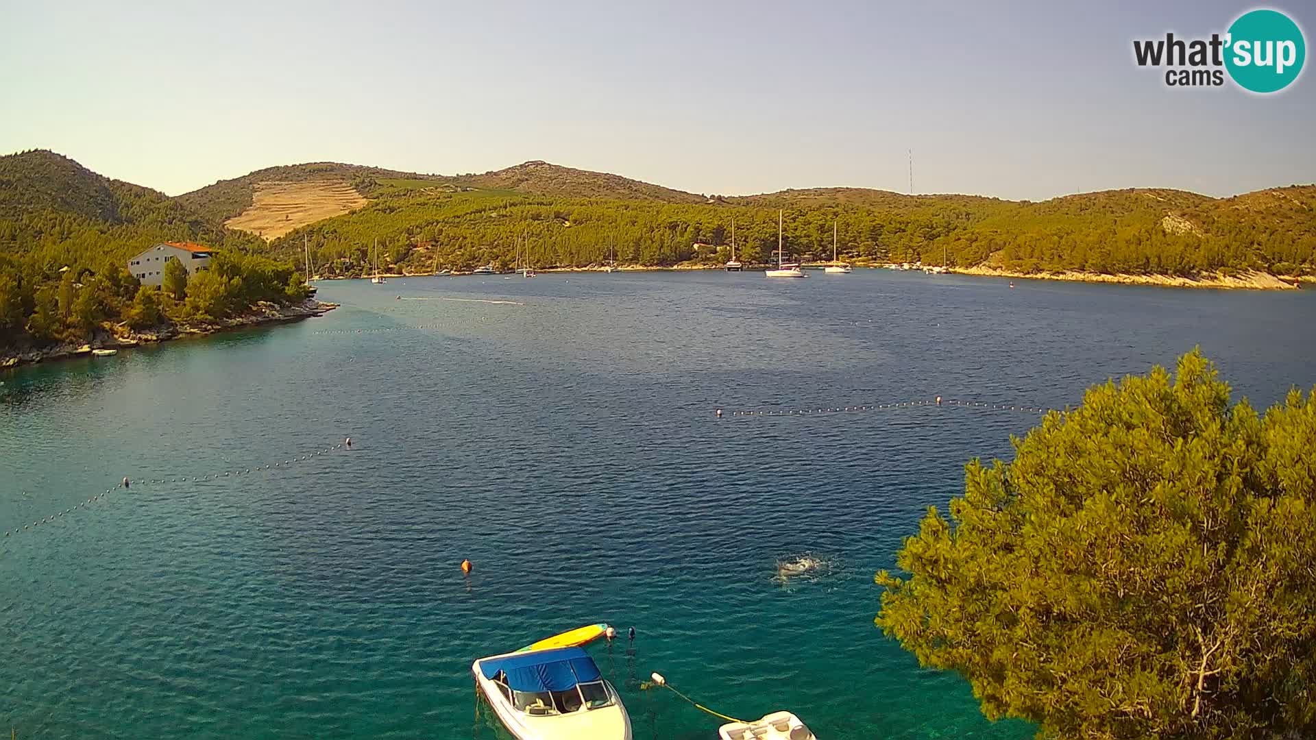 Web kamera Hvar Vira plaža | otok Hvar | Dalmacija