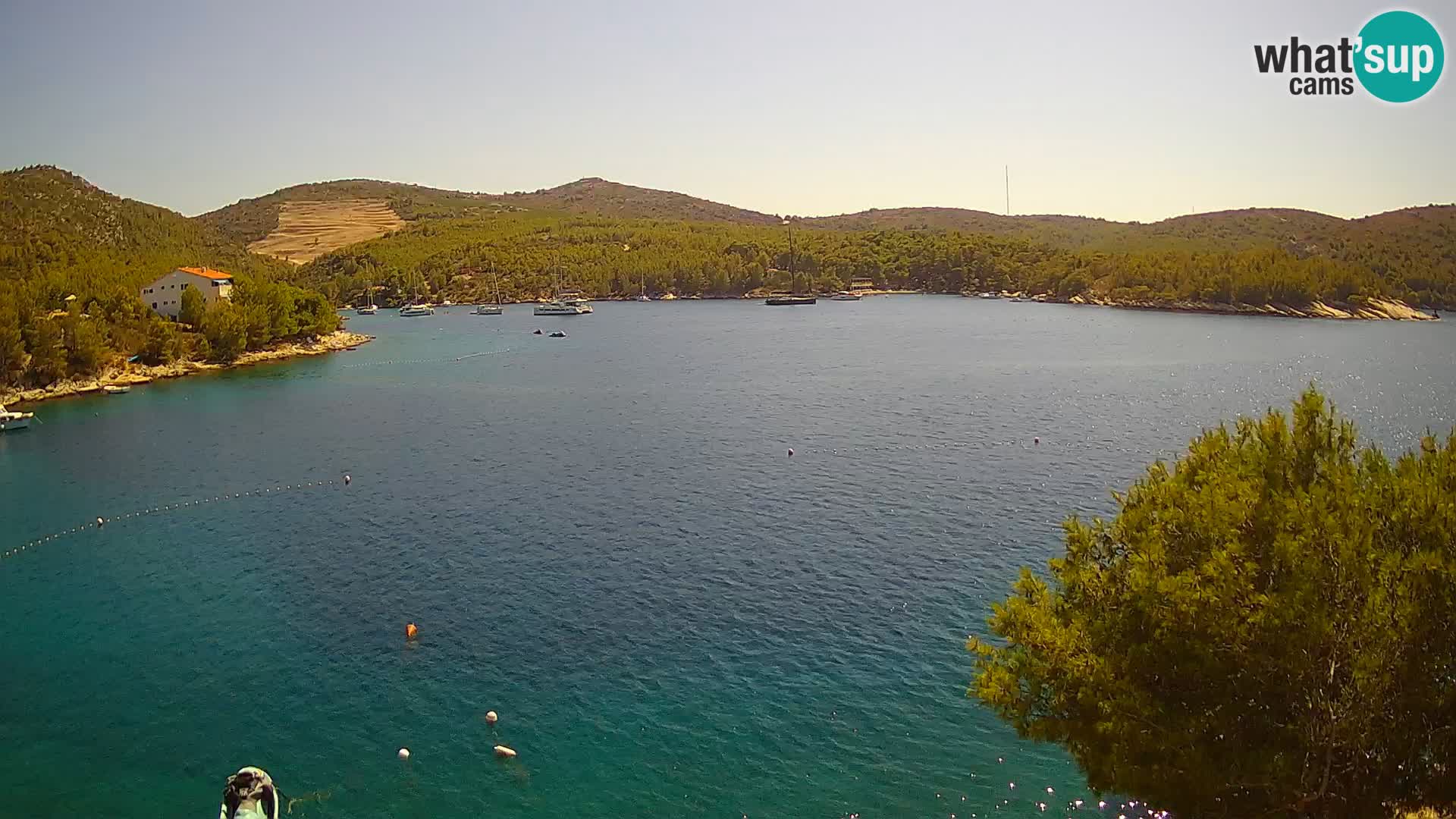 Hvar webcam Vira Strand | Hvar Insel | Dalmatien
