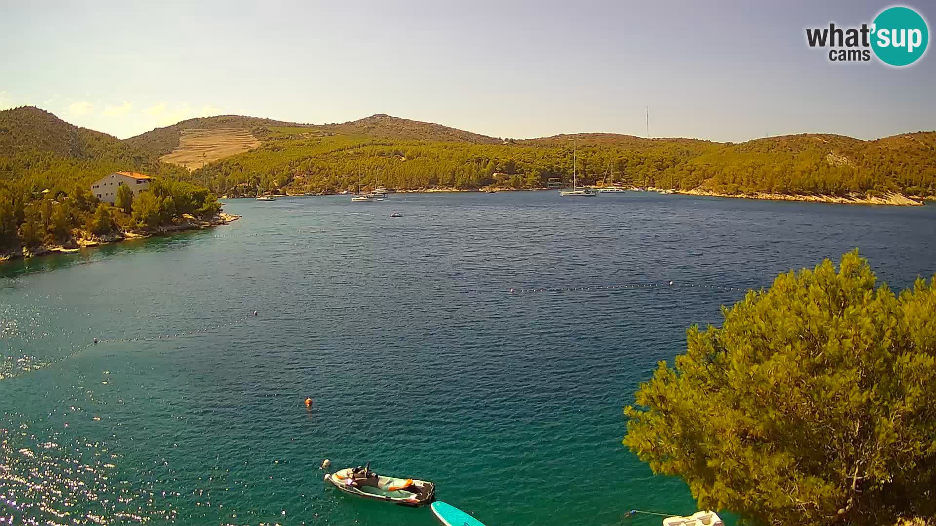 Camera Hvar Vira playa | Isla de Hvar | Dalmacia