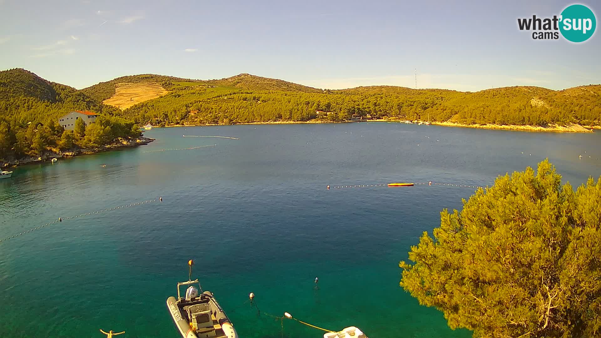 Camera Hvar Vira playa | Isla de Hvar | Dalmacia