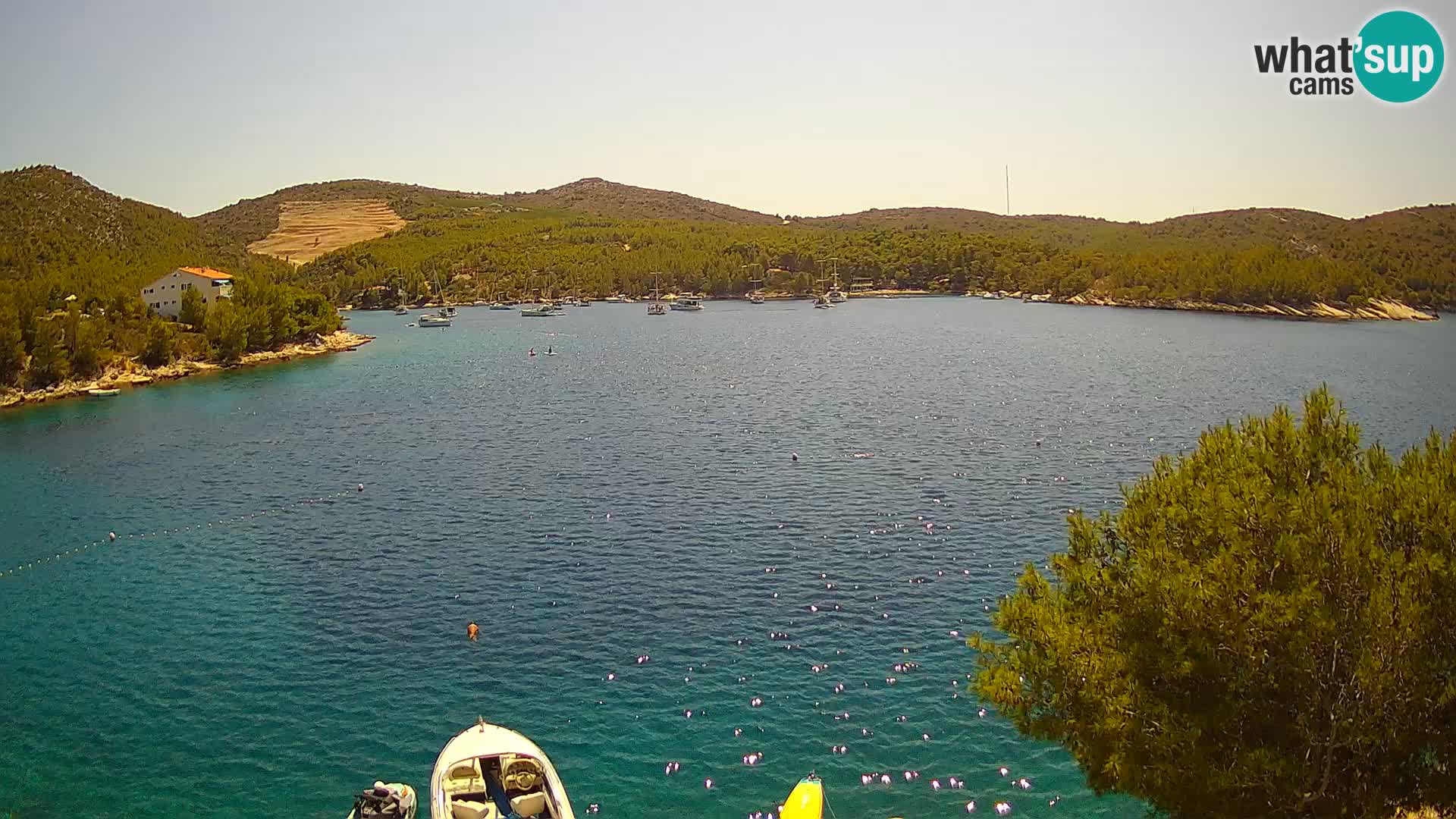 Camera Hvar Vira playa | Isla de Hvar | Dalmacia