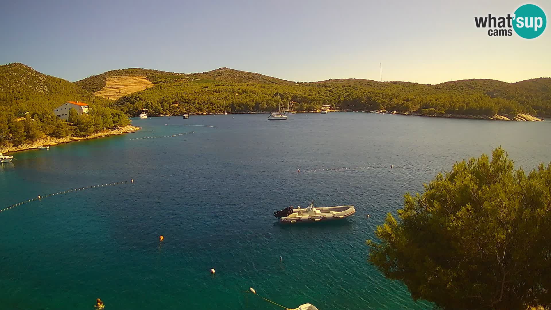 Camera Hvar Vira playa | Isla de Hvar | Dalmacia