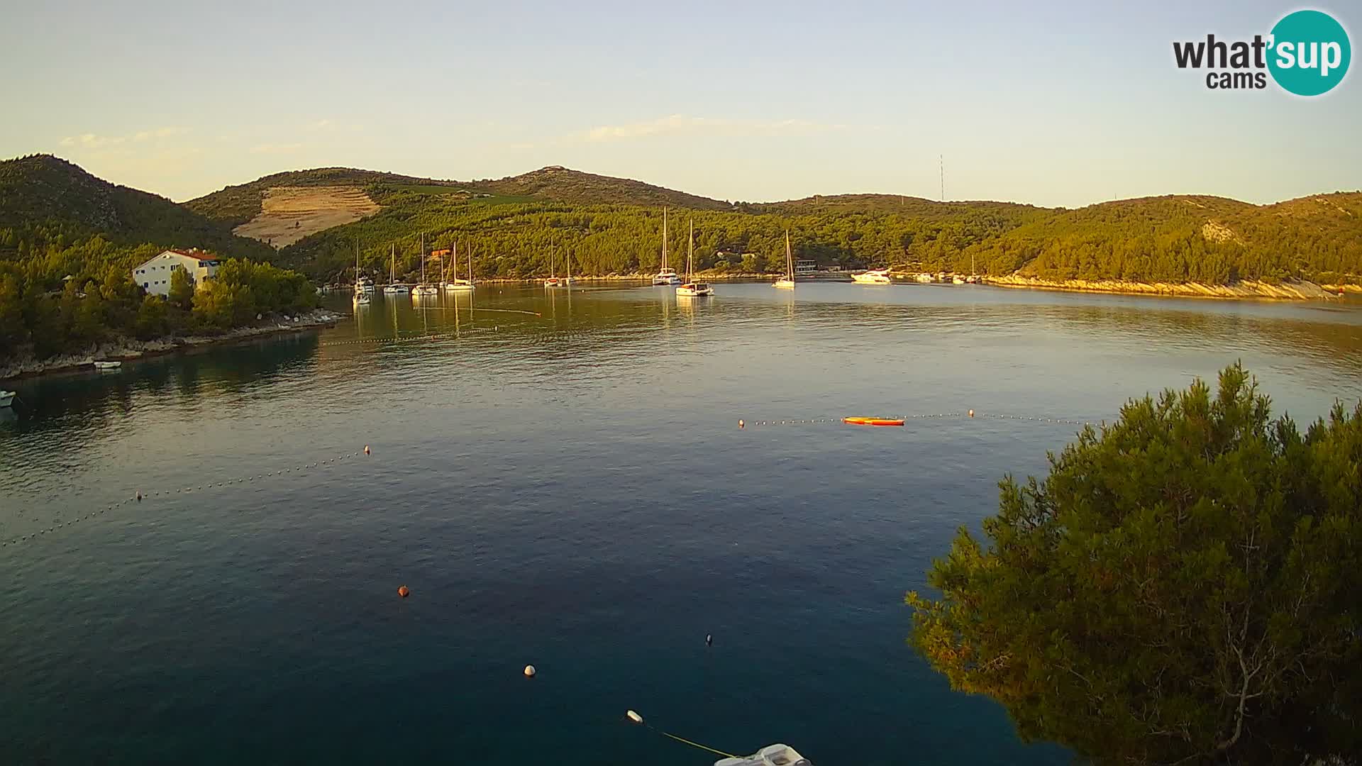 Hvar webcam Vira Strand | Hvar Insel | Dalmatien