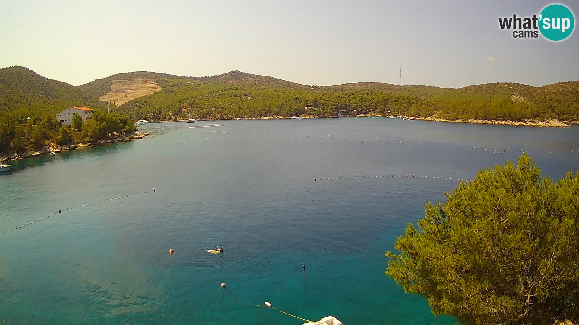 Camera Hvar Vira playa | Isla de Hvar | Dalmacia