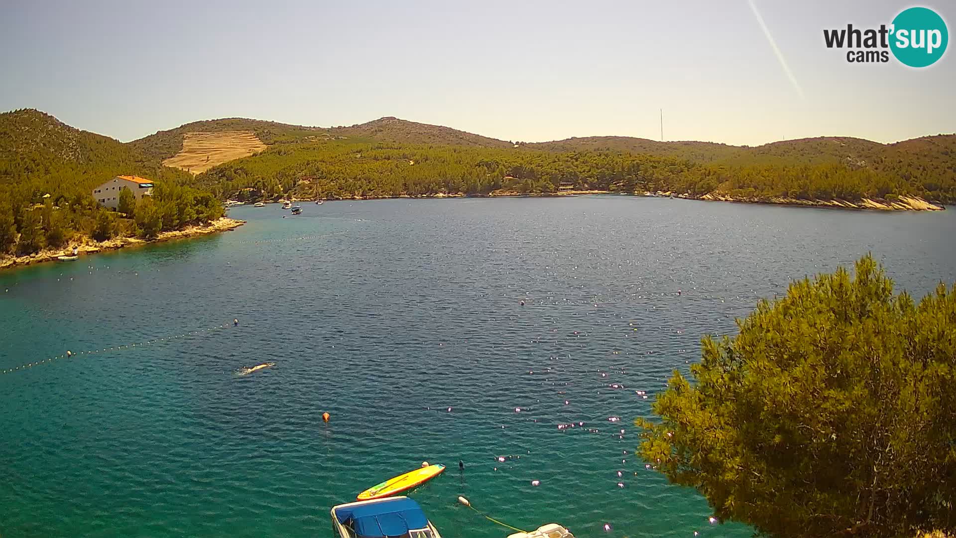 Hvar webcam Vira Strand | Hvar Insel | Dalmatien