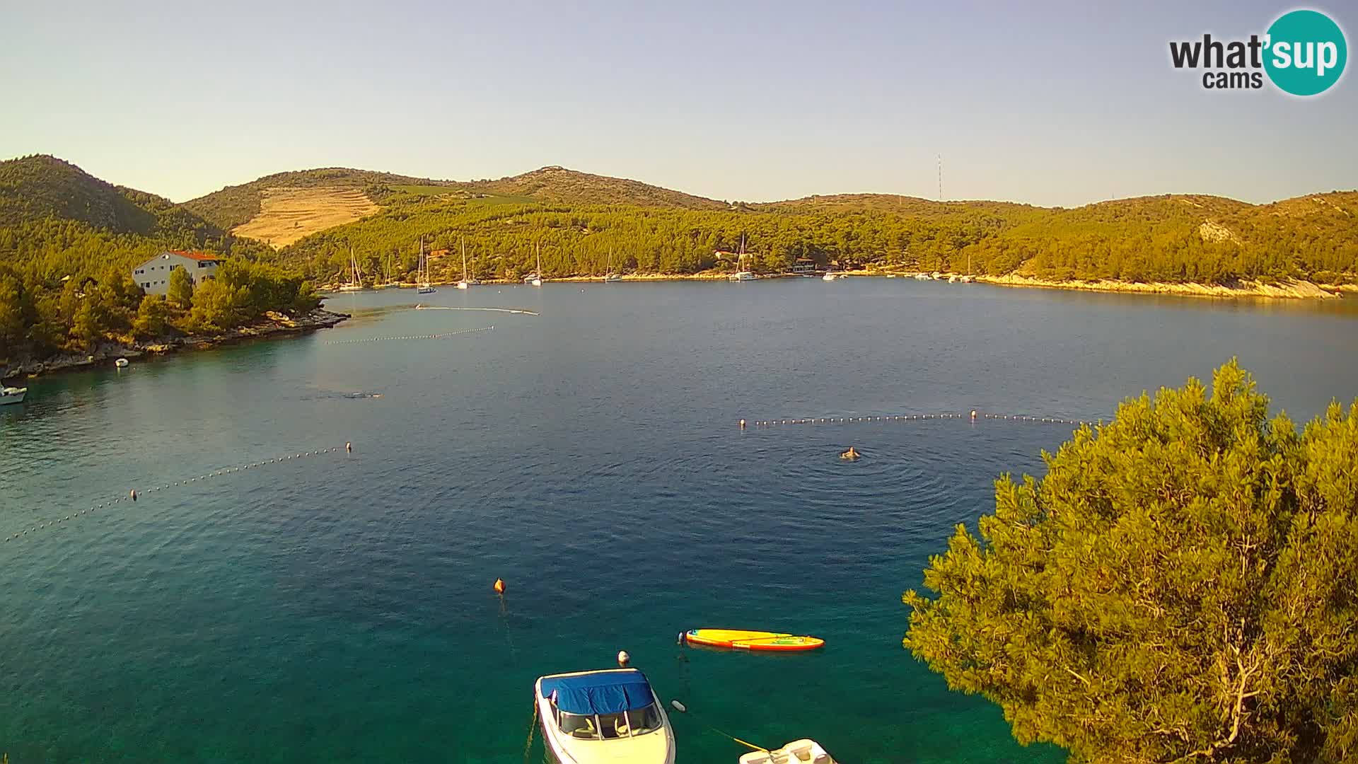 Camera Hvar Vira playa | Isla de Hvar | Dalmacia
