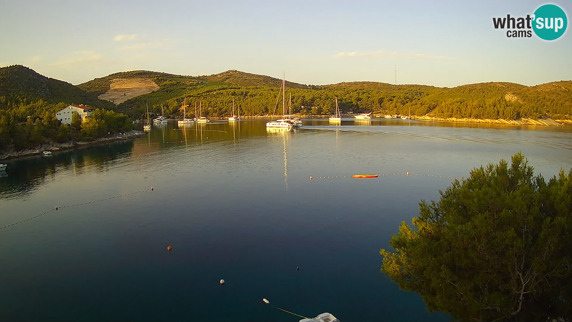 Camera Hvar Vira playa | Isla de Hvar | Dalmacia