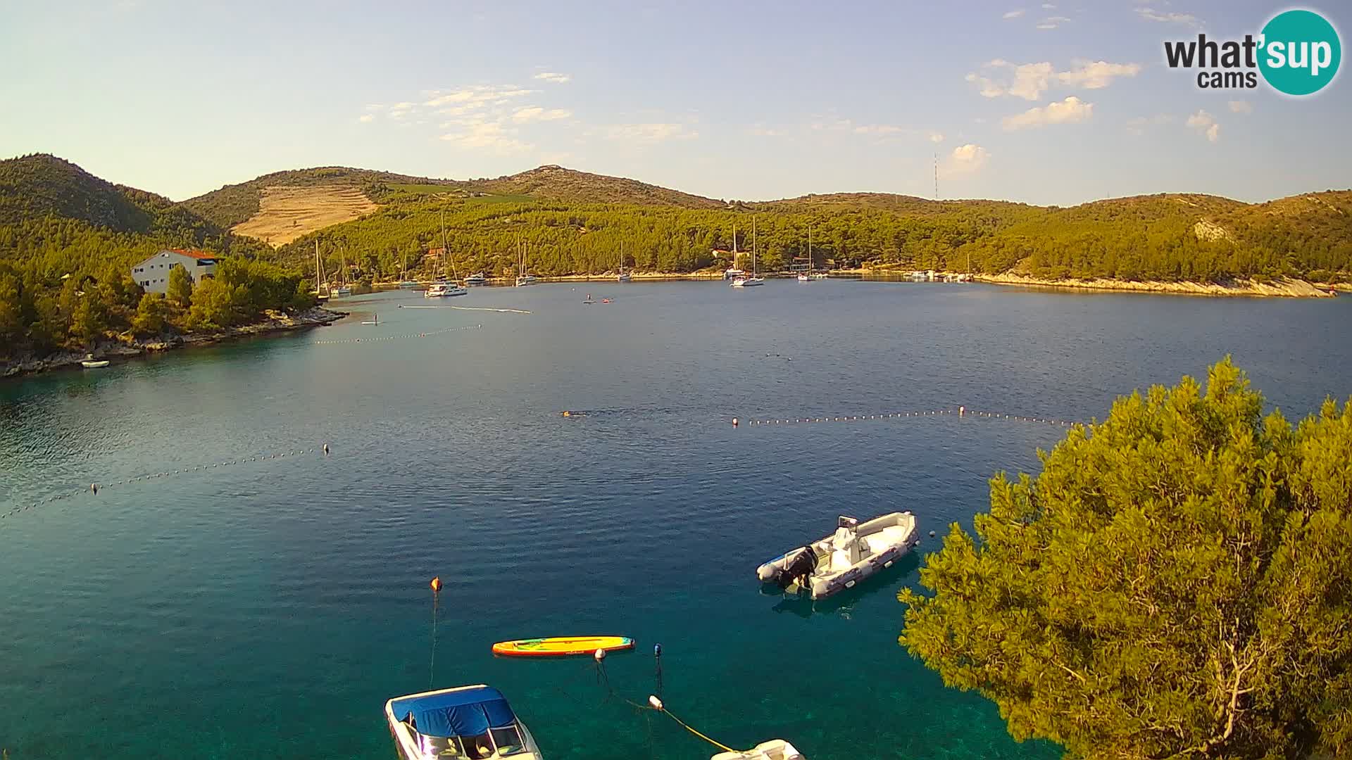 Camera Hvar Vira playa | Isla de Hvar | Dalmacia