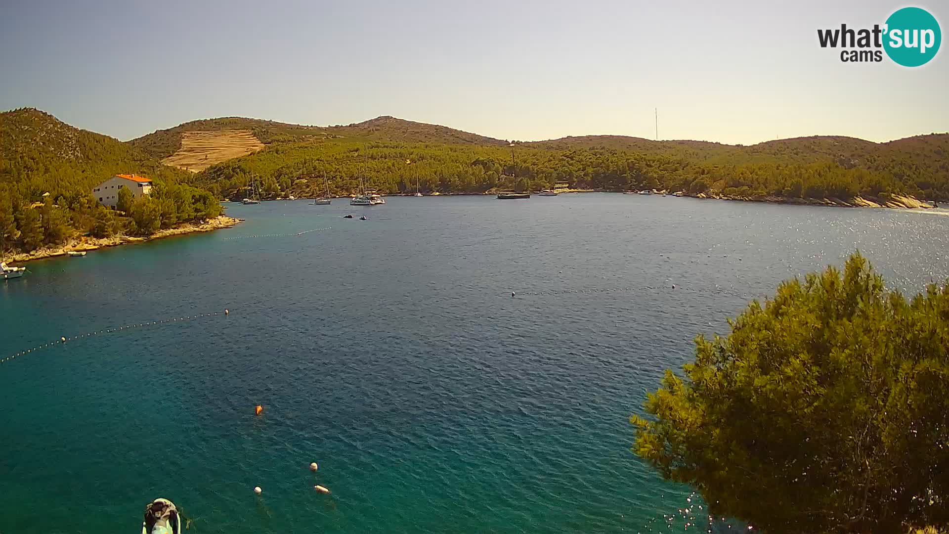Camera Hvar Vira playa | Isla de Hvar | Dalmacia