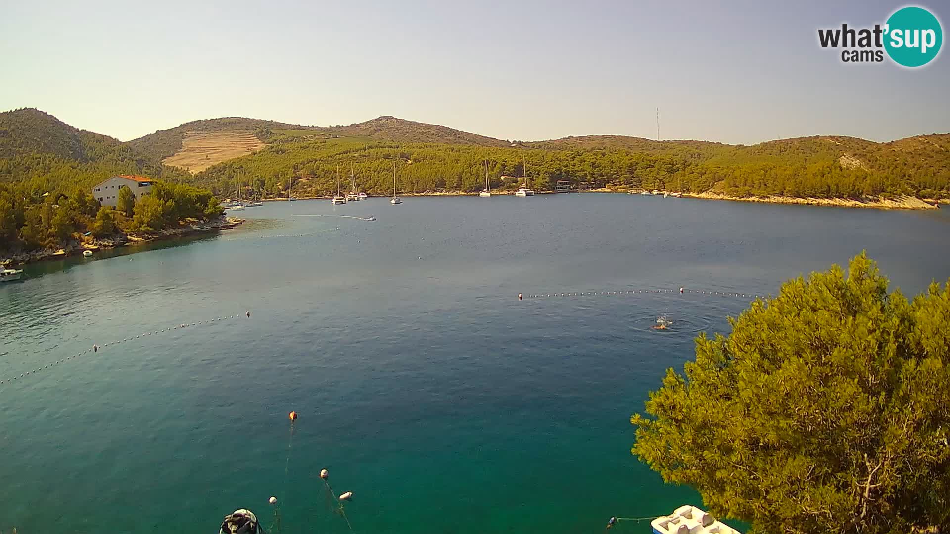 Live cam Hvar Vira plage | Île de Hvar | Dalmatie