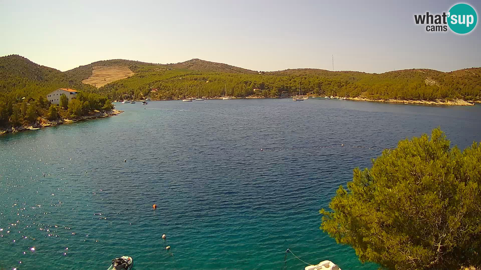 Camera Hvar Vira playa | Isla de Hvar | Dalmacia