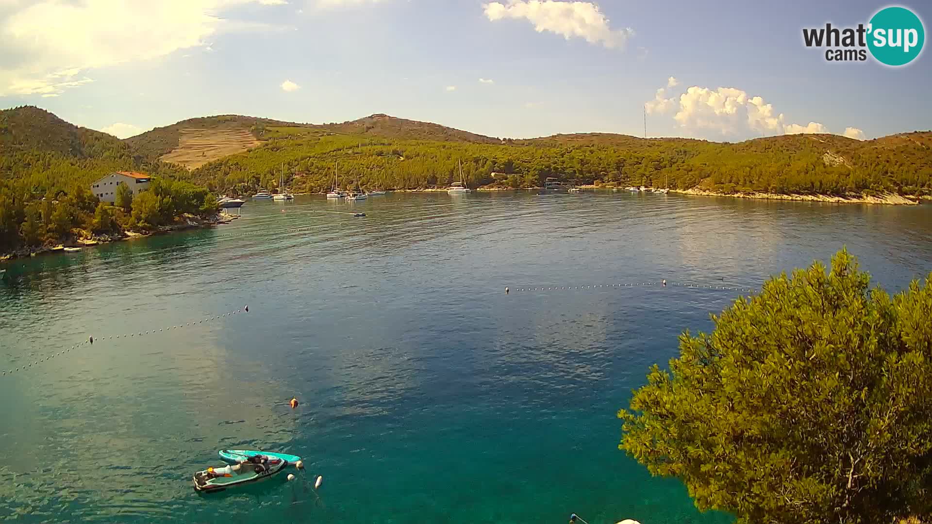 Camera Hvar Vira playa | Isla de Hvar | Dalmacia