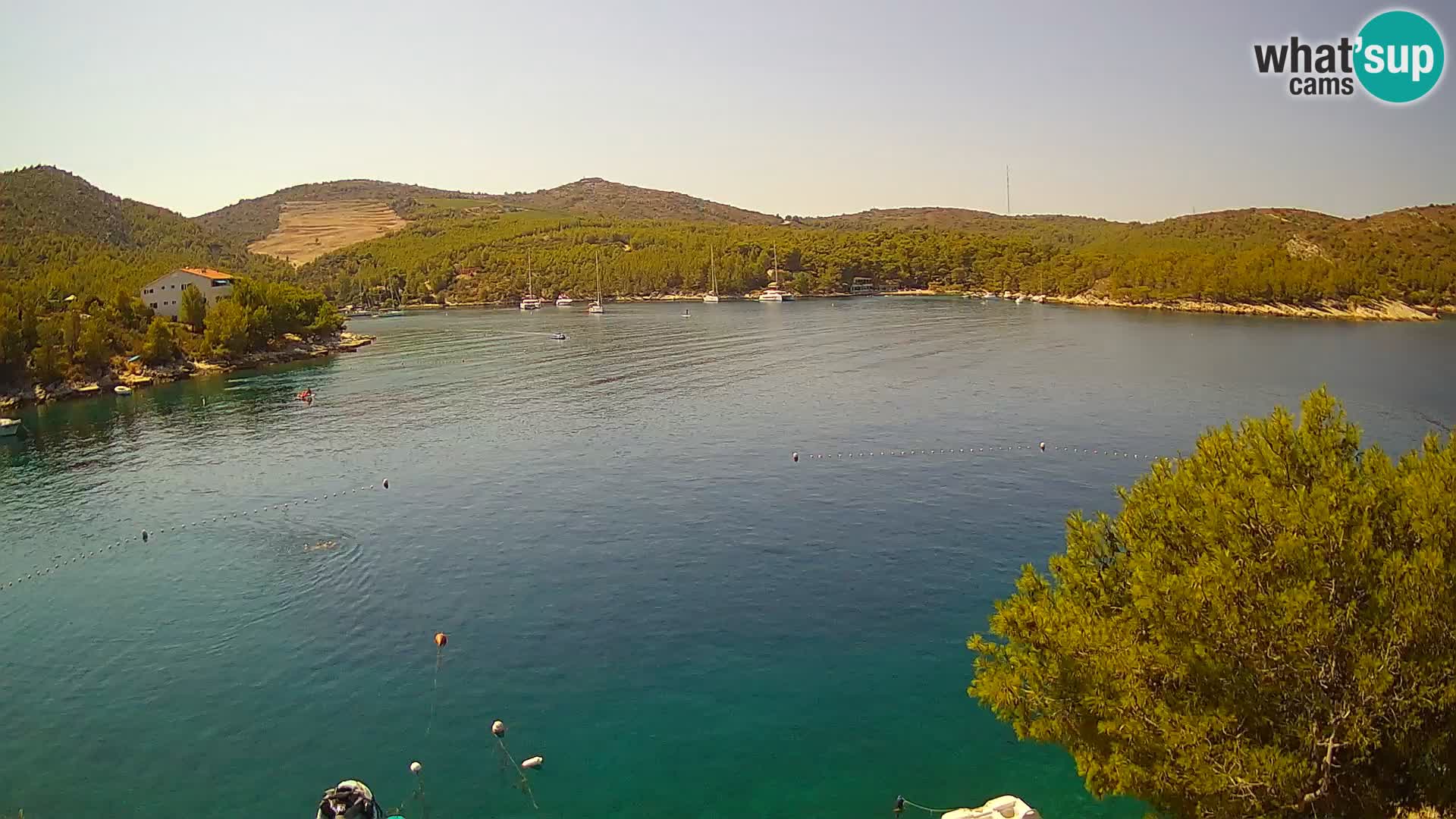 Camera Hvar Vira playa | Isla de Hvar | Dalmacia