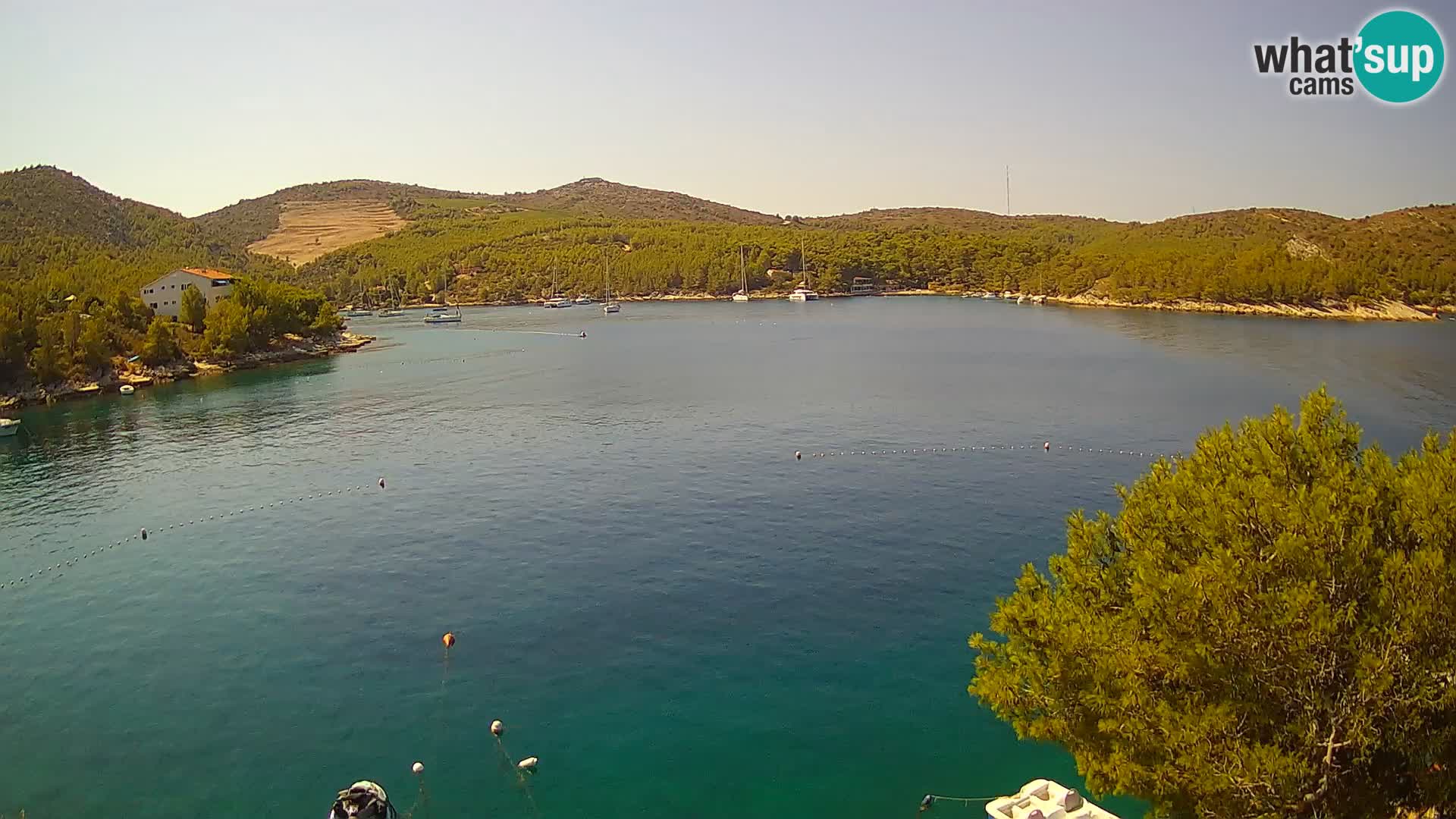 Camera Hvar Vira playa | Isla de Hvar | Dalmacia