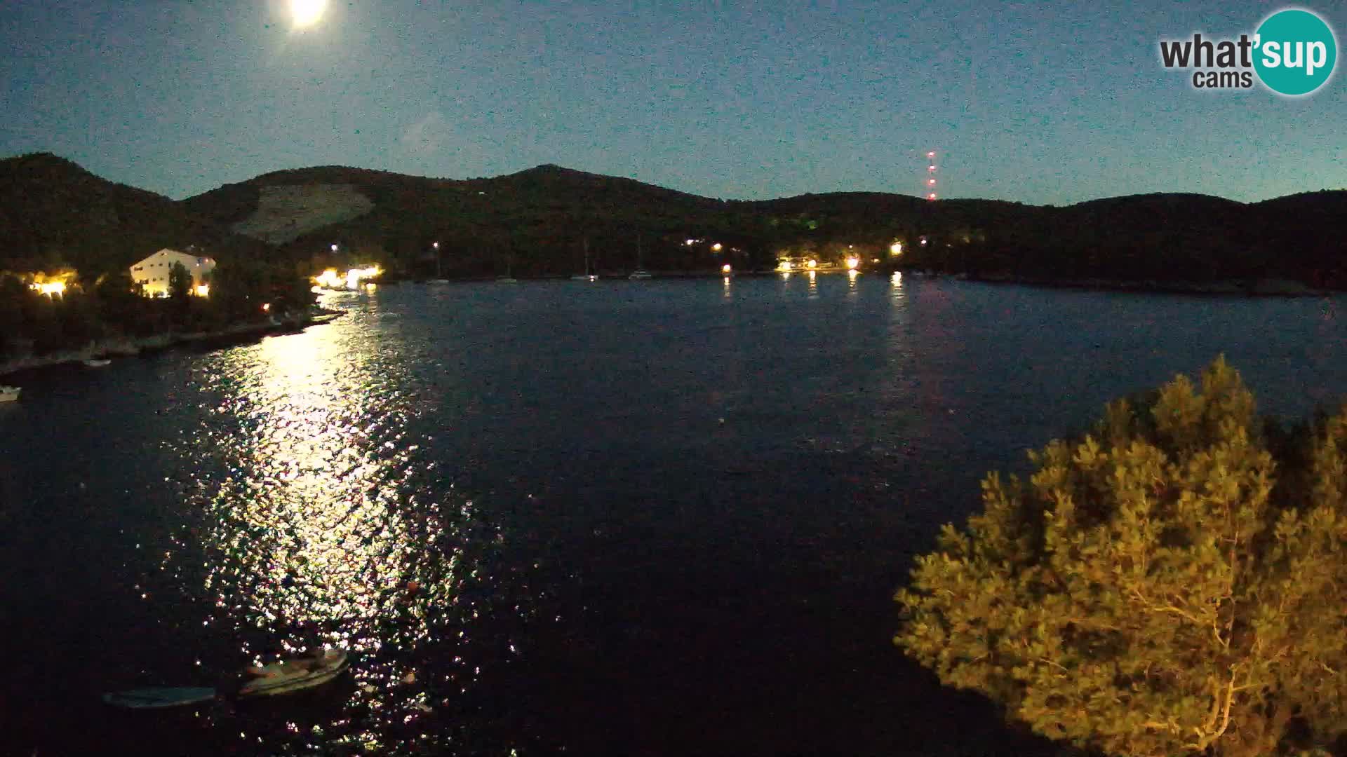 Live cam Hvar Vira plage | Île de Hvar | Dalmatie